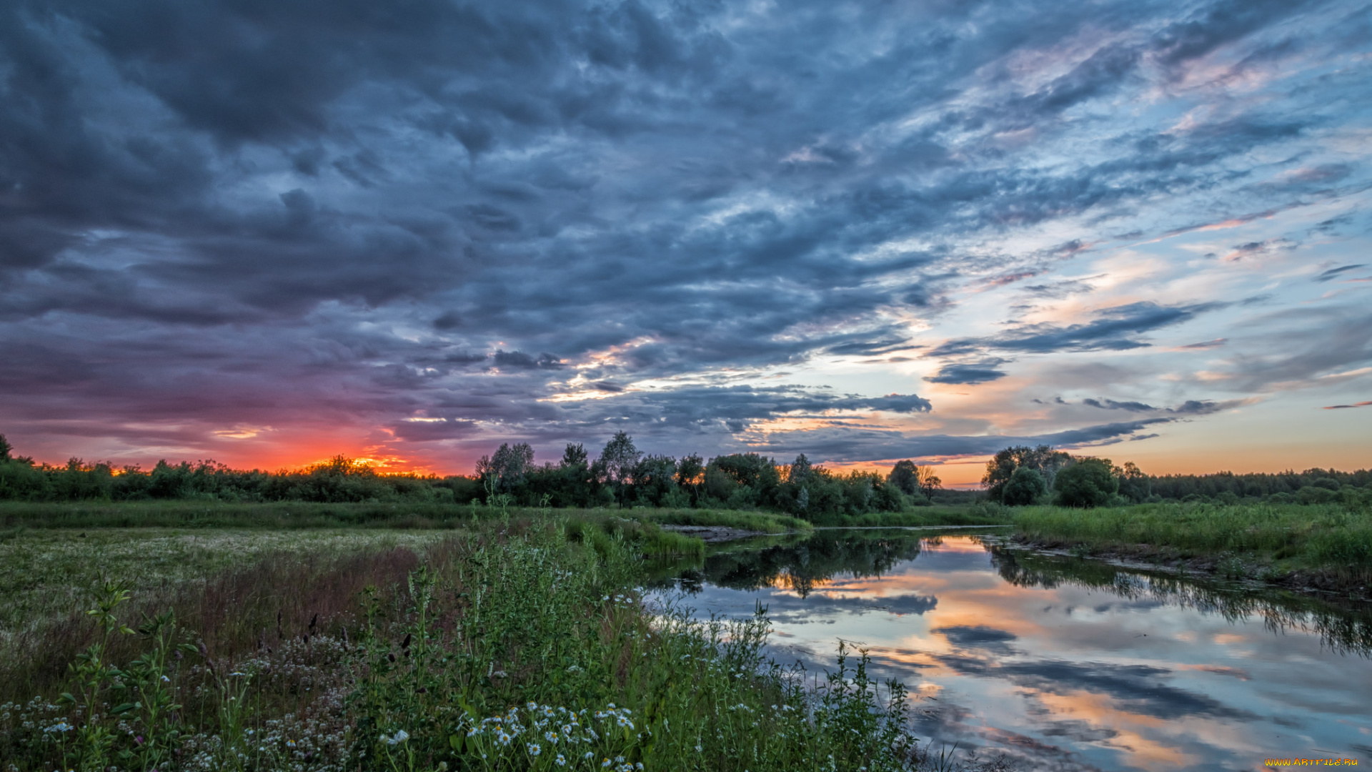 природа, реки, озера, река, лес