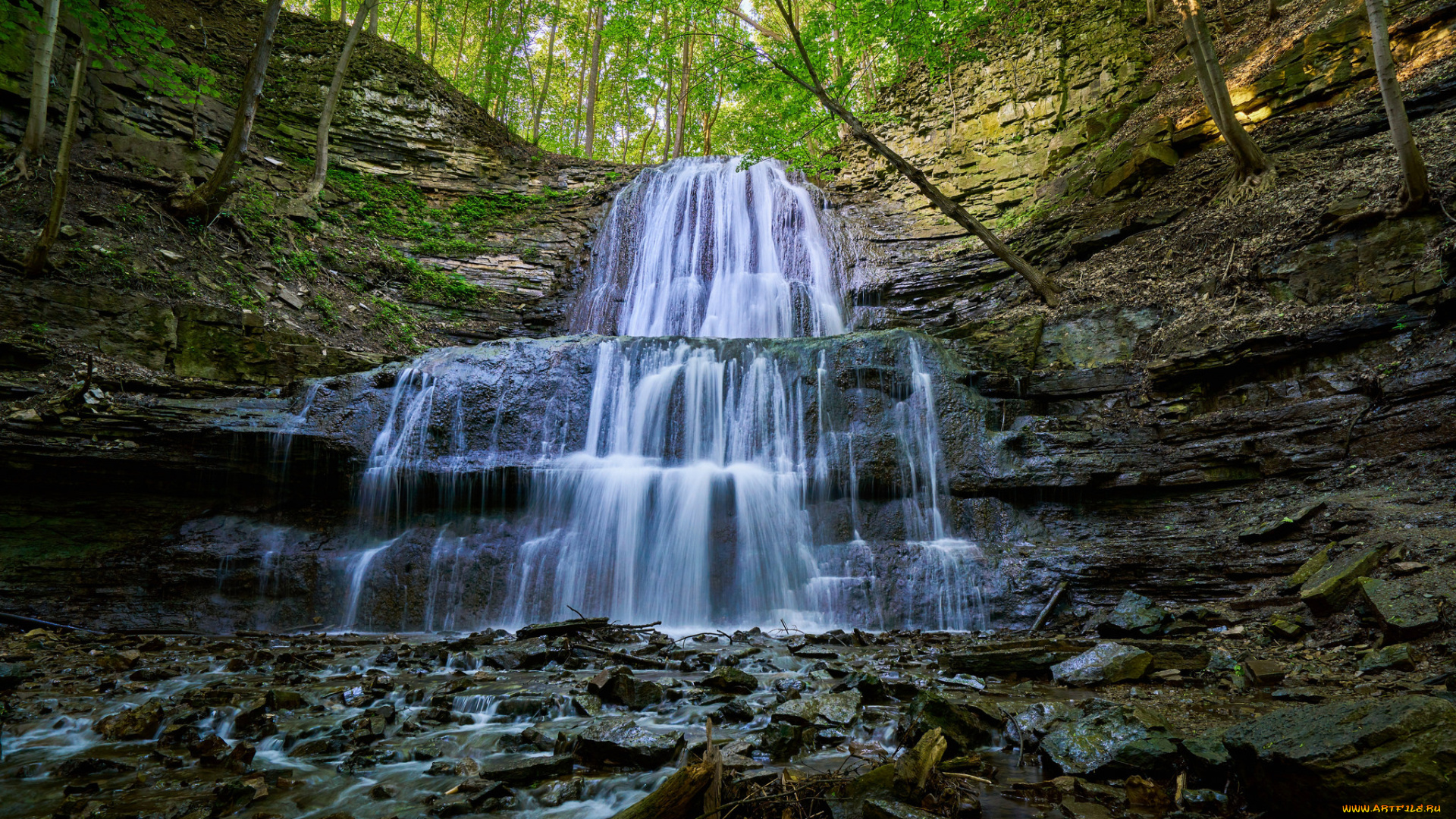 природа, водопады, лес, водопад, река