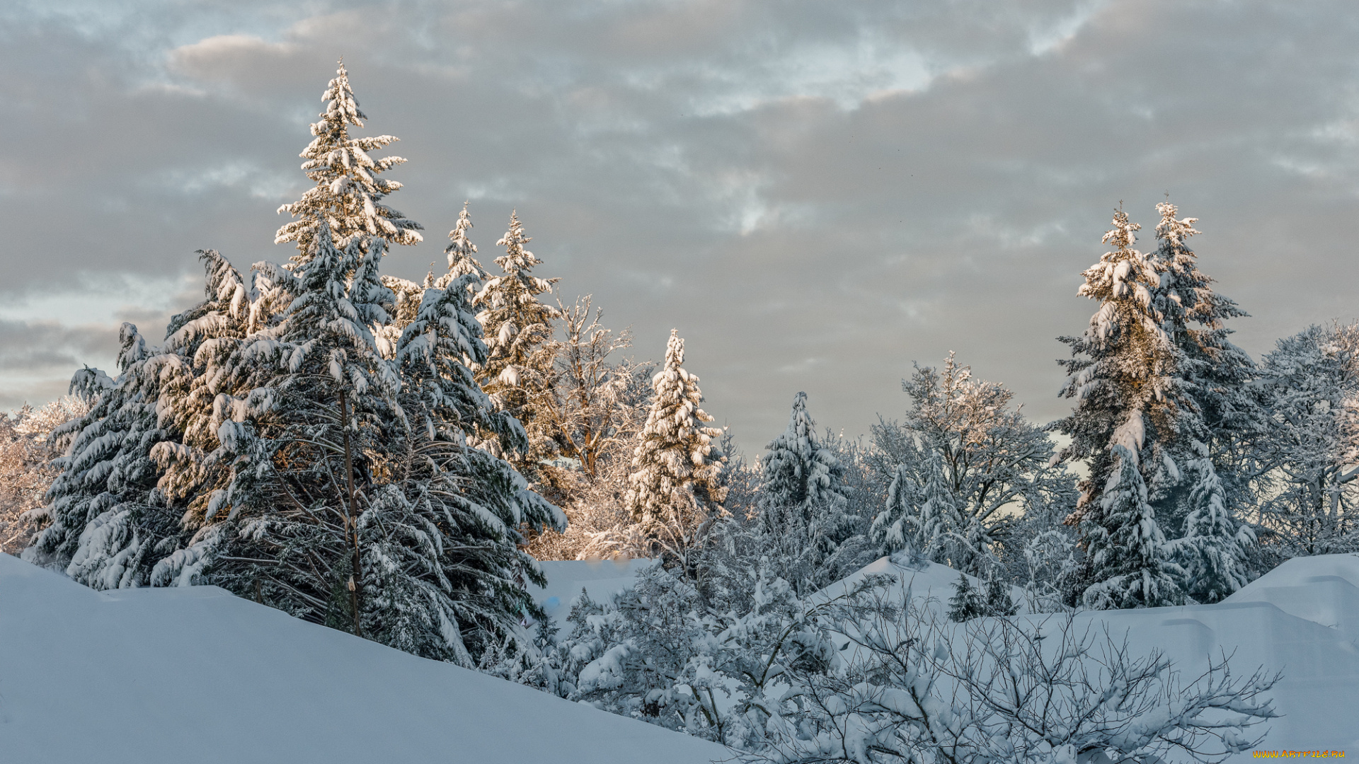 природа, зима, снег