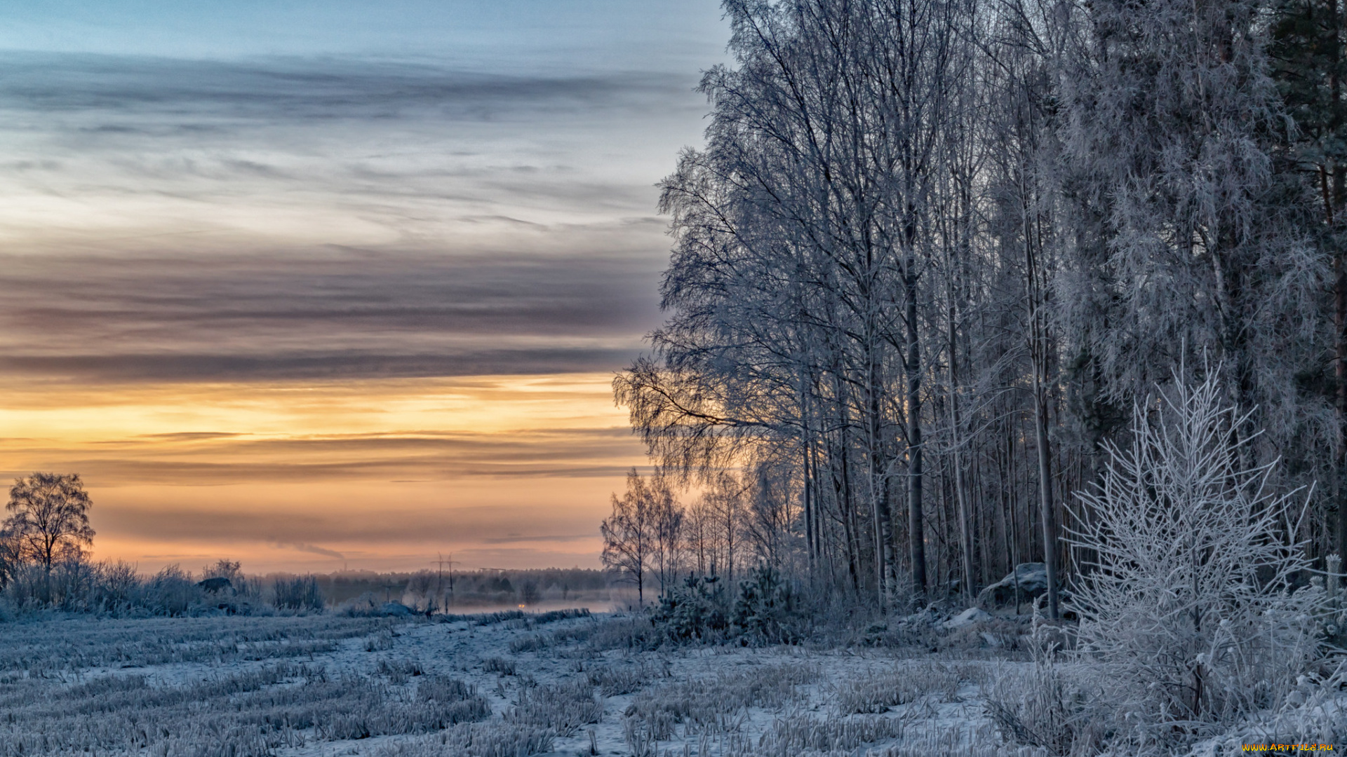 природа, зима, снег