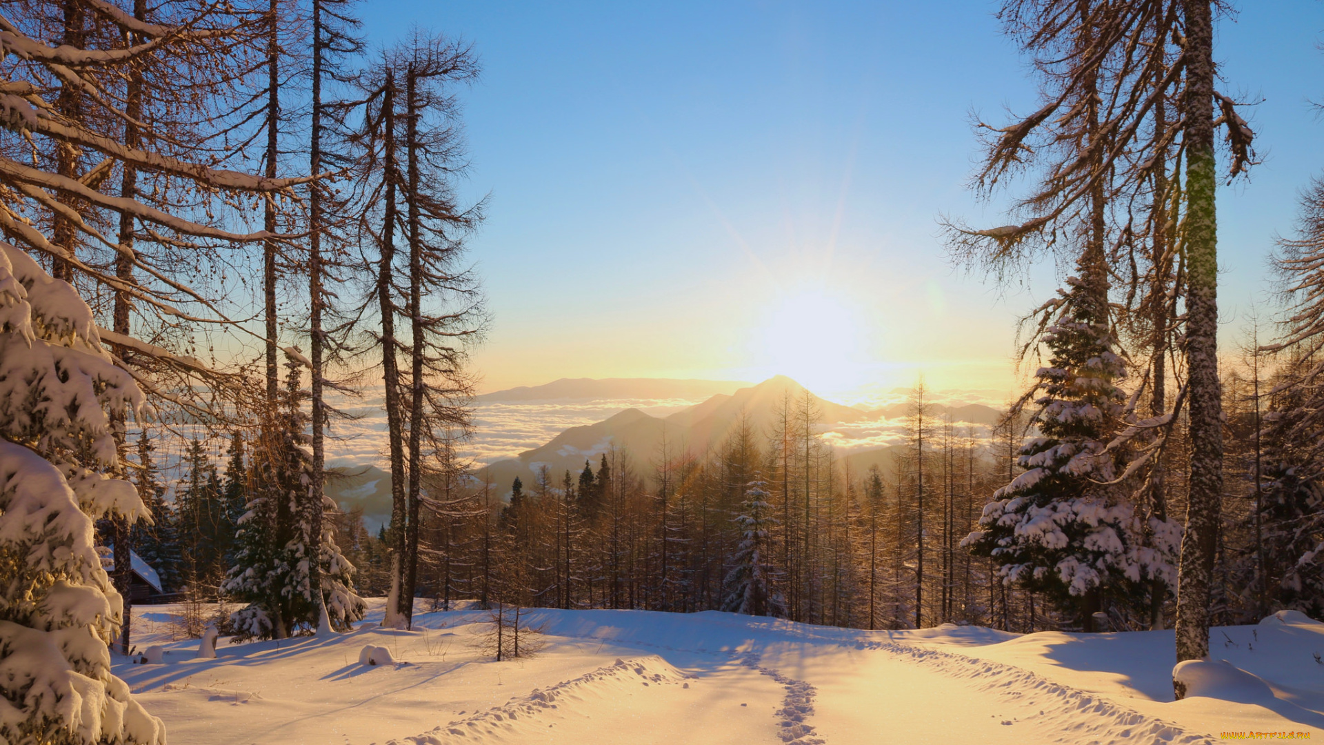 природа, зима, снег