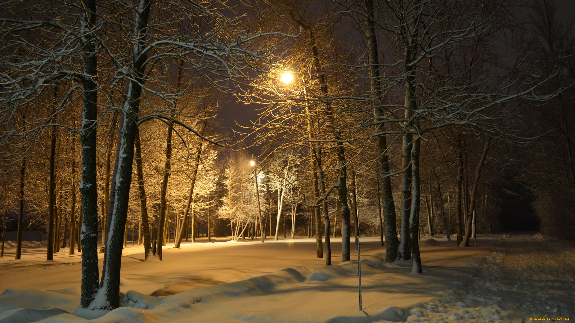 природа, зима, снег