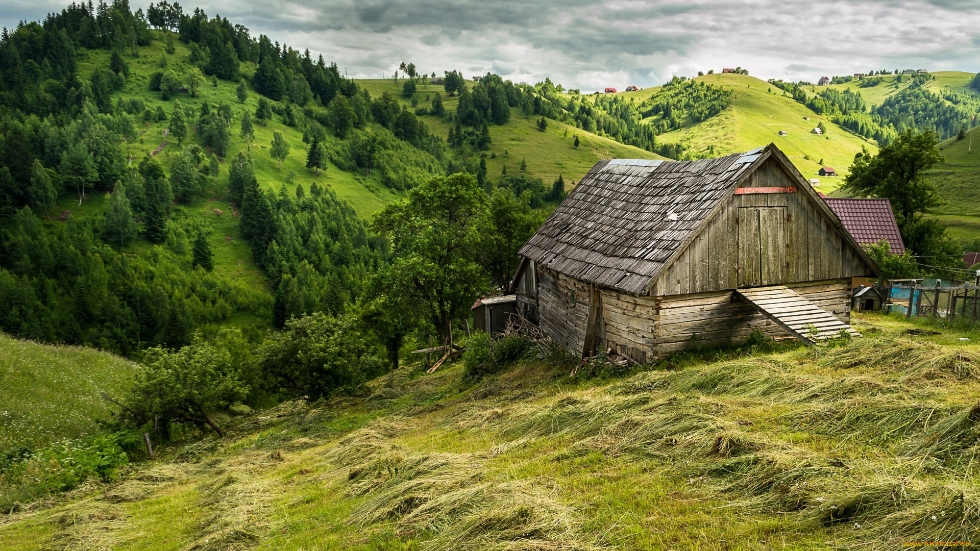 румыния, города, -, пейзажи, сено, трава, постройка, холмы, деревья