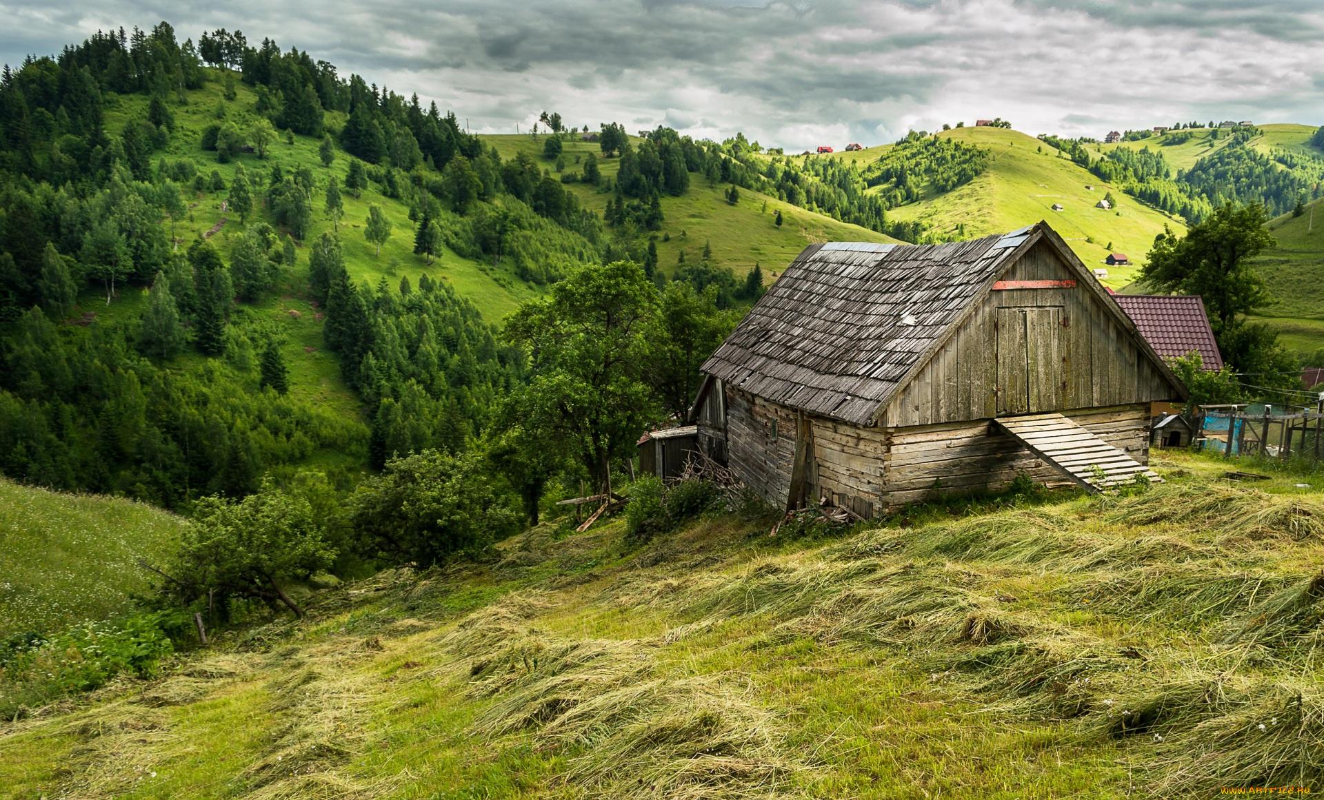 румыния, города, -, пейзажи, сено, трава, постройка, холмы, деревья