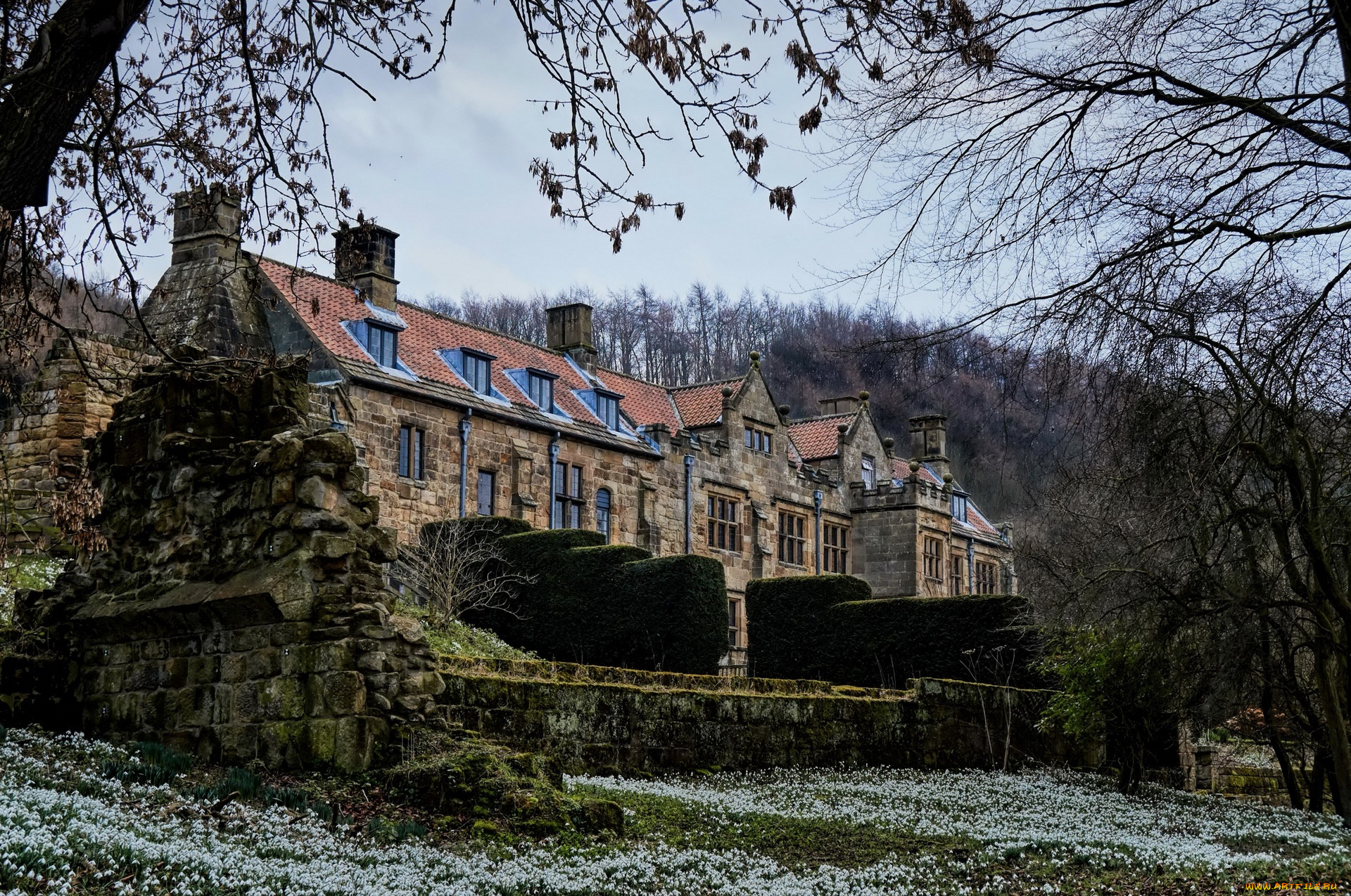 англия, города, -, здания, , дома, деревья, камни, кустарники, цветы