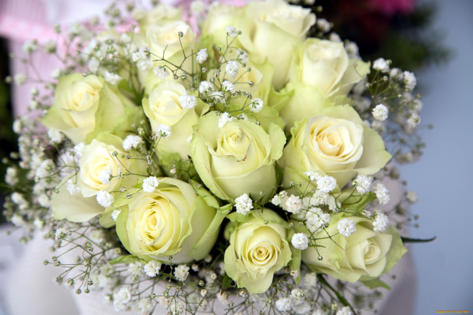 цветы, букеты, , композиции, гипсофила, розы, бутоны