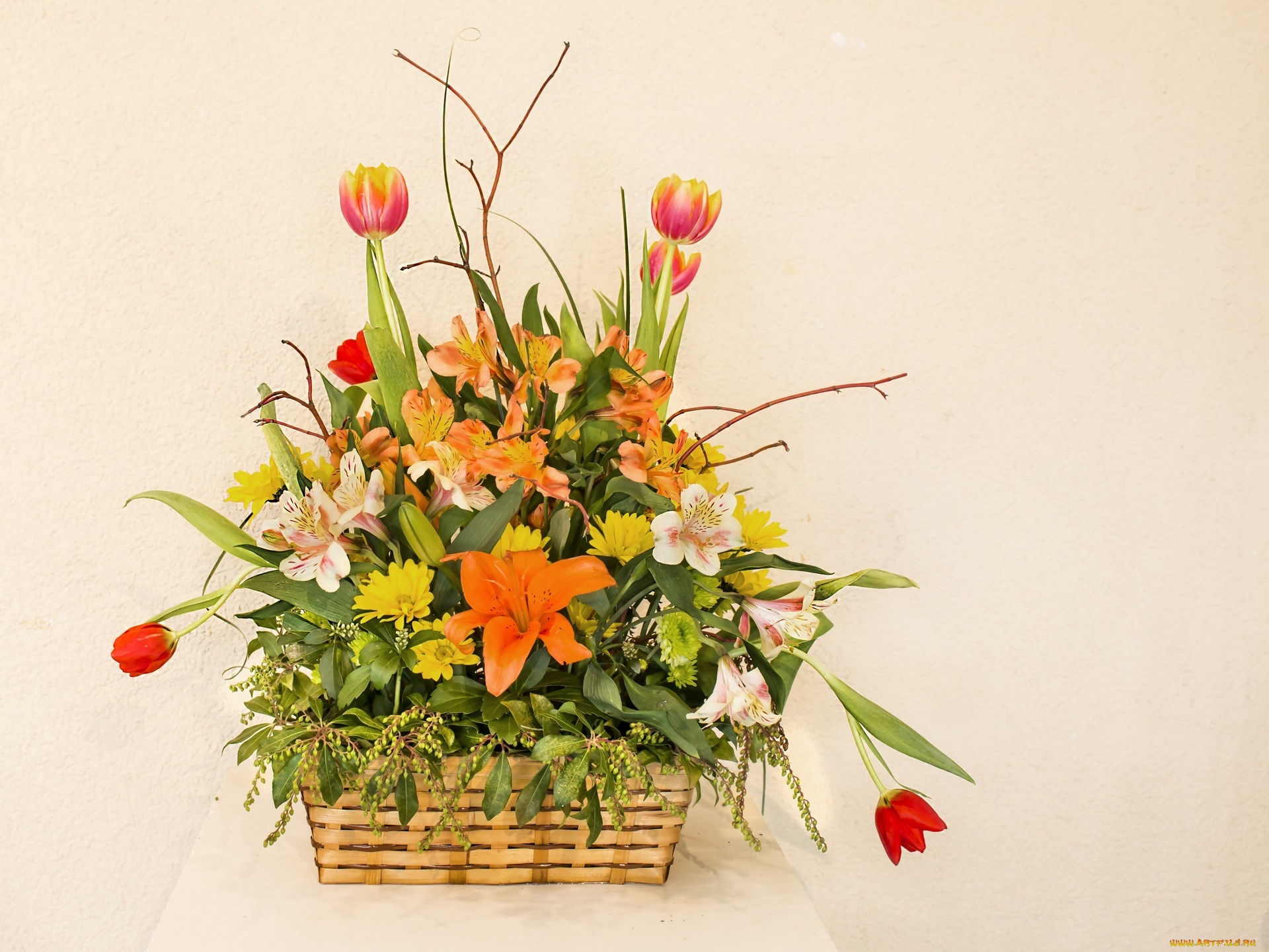цветы, букеты, , композиции, разноцветные, корзина