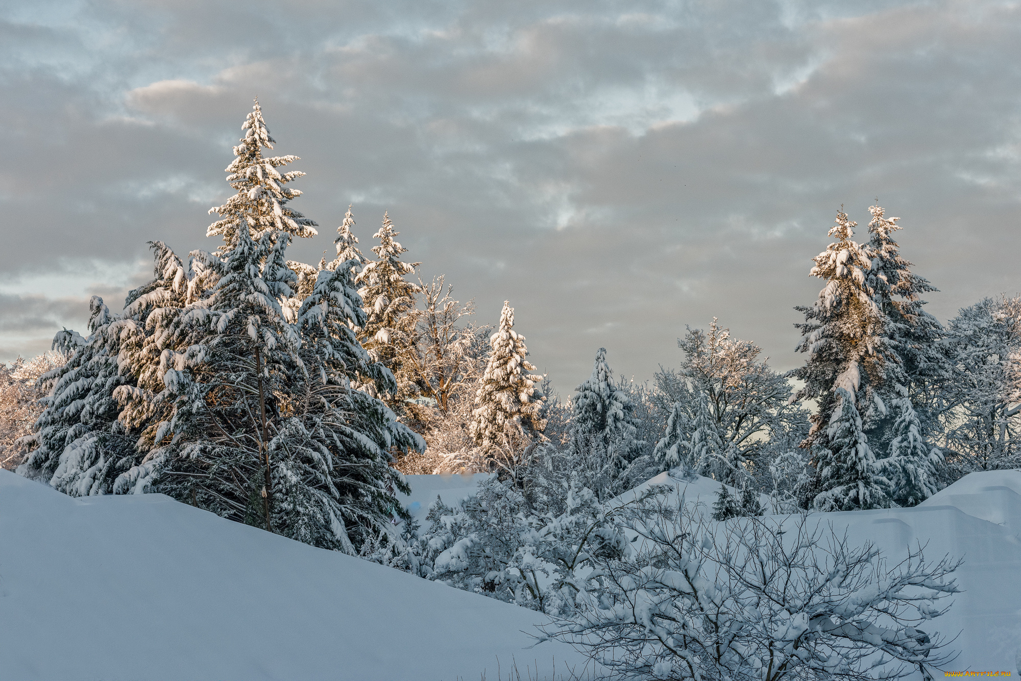 природа, зима, снег