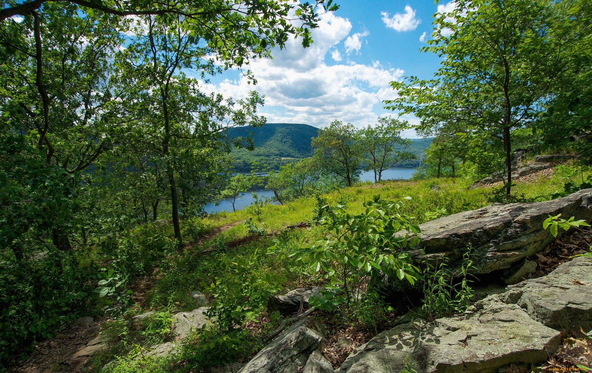 природа, реки, озера, простор