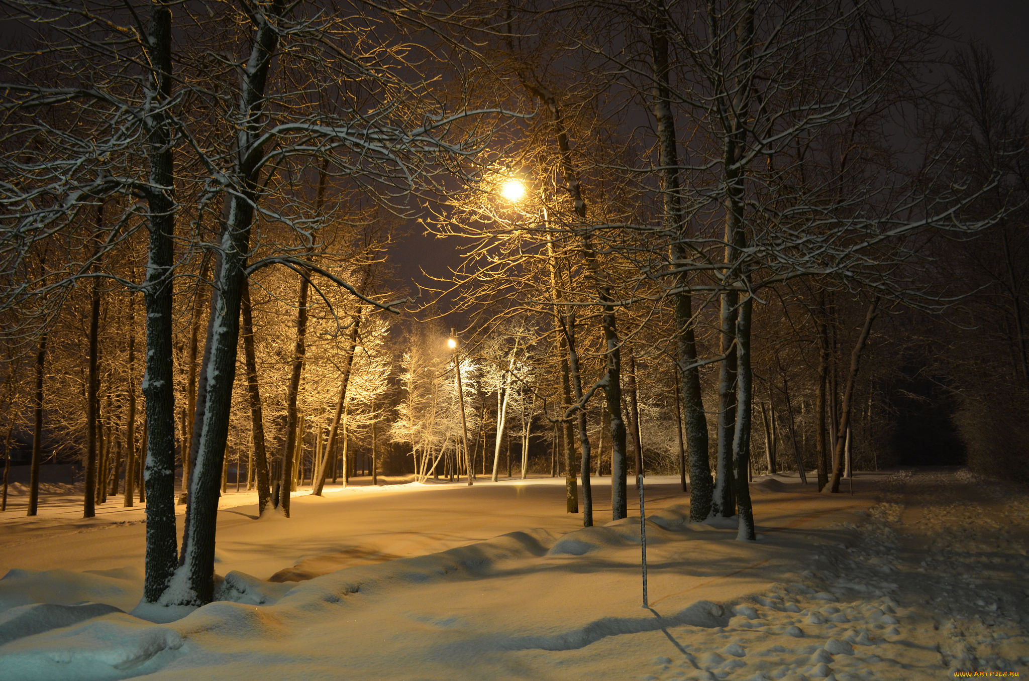 природа, зима, снег