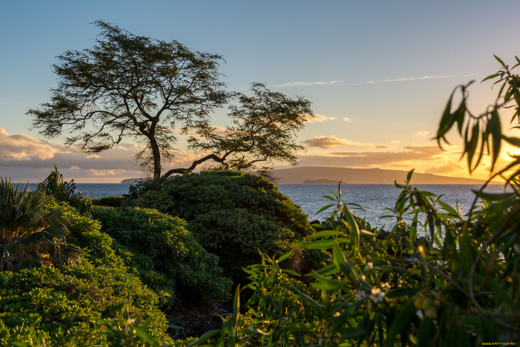 природа, горы, простор