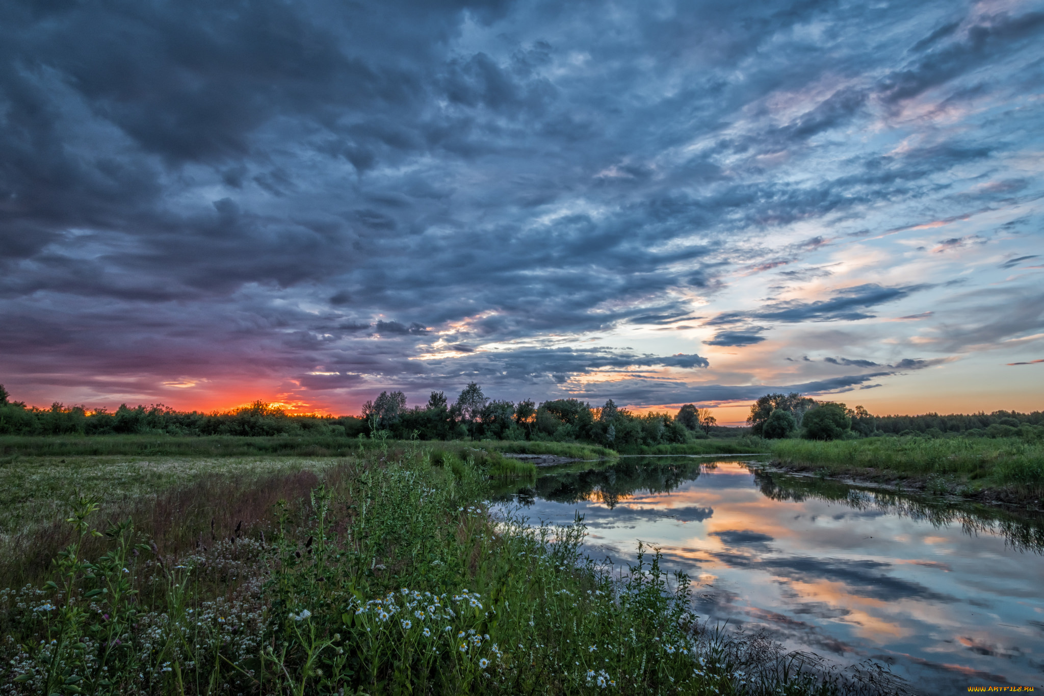 природа, реки, озера, река, лес