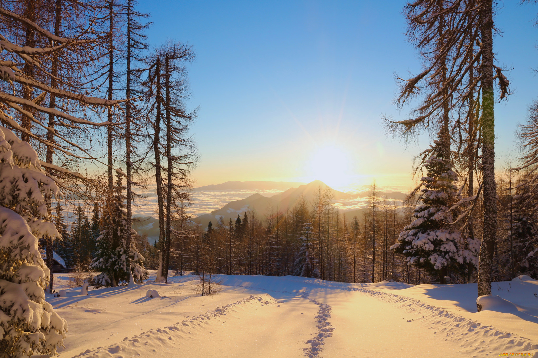 природа, зима, снег