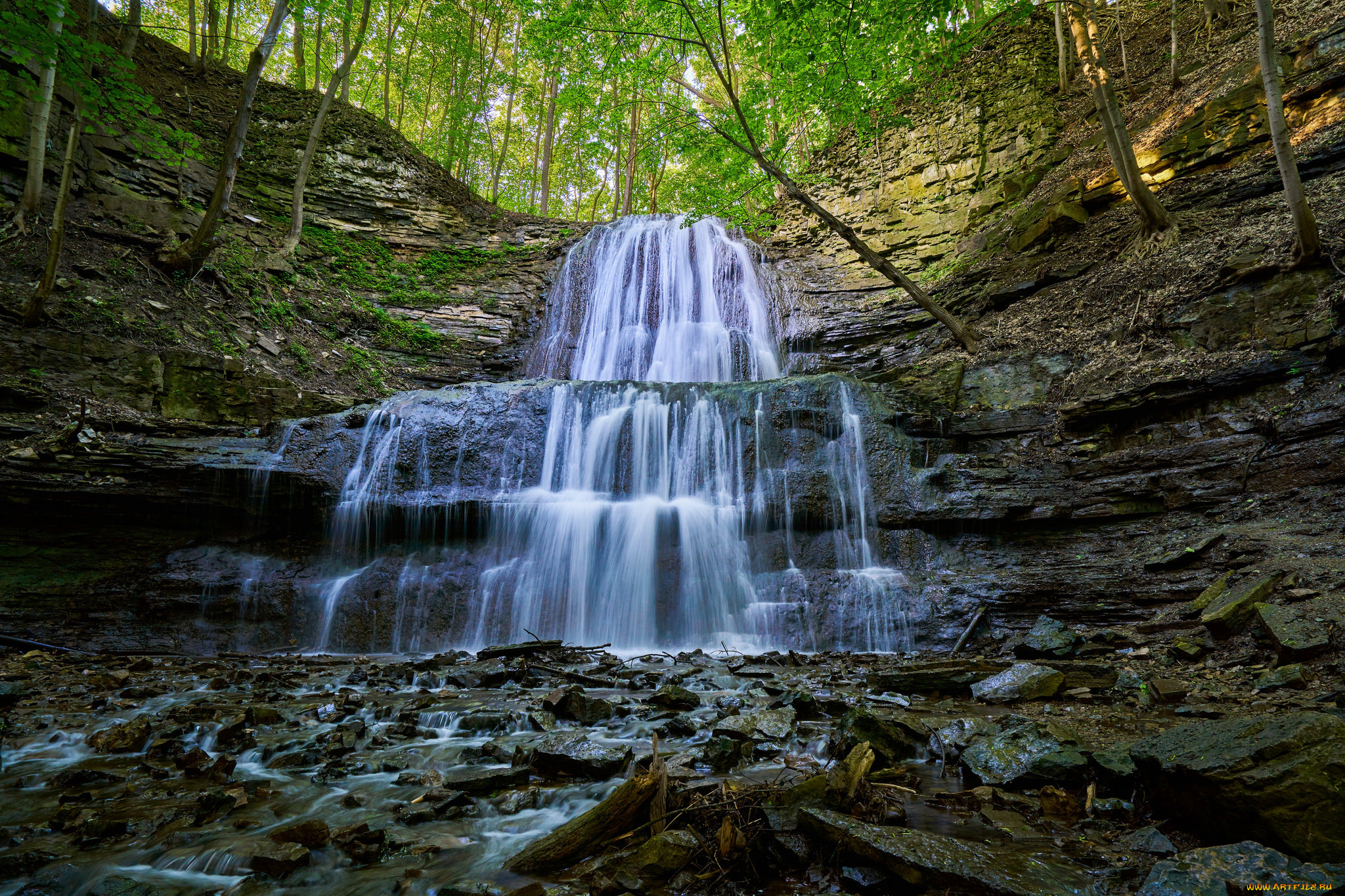 природа, водопады, лес, водопад, река