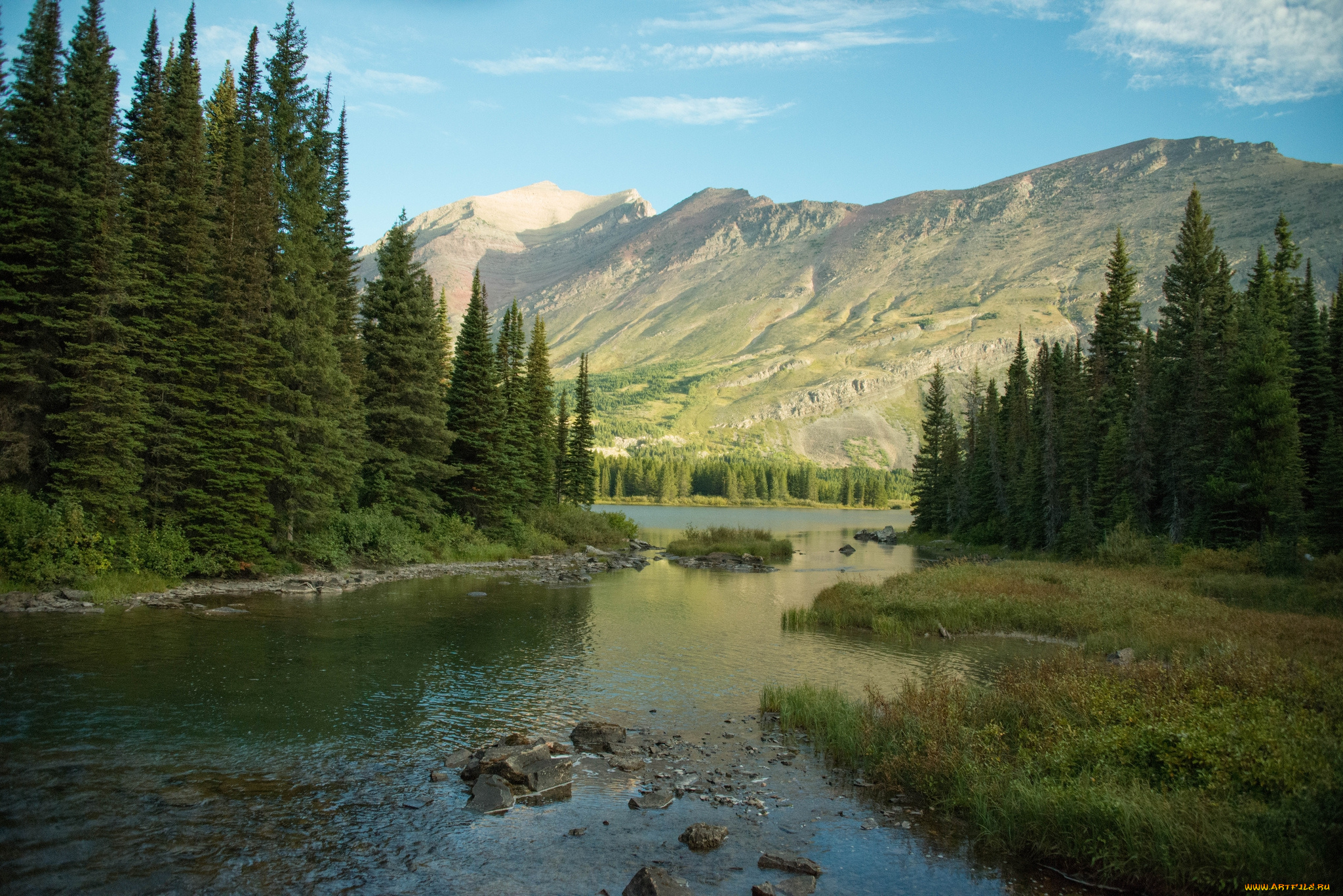 природа, реки, озера, река, лес