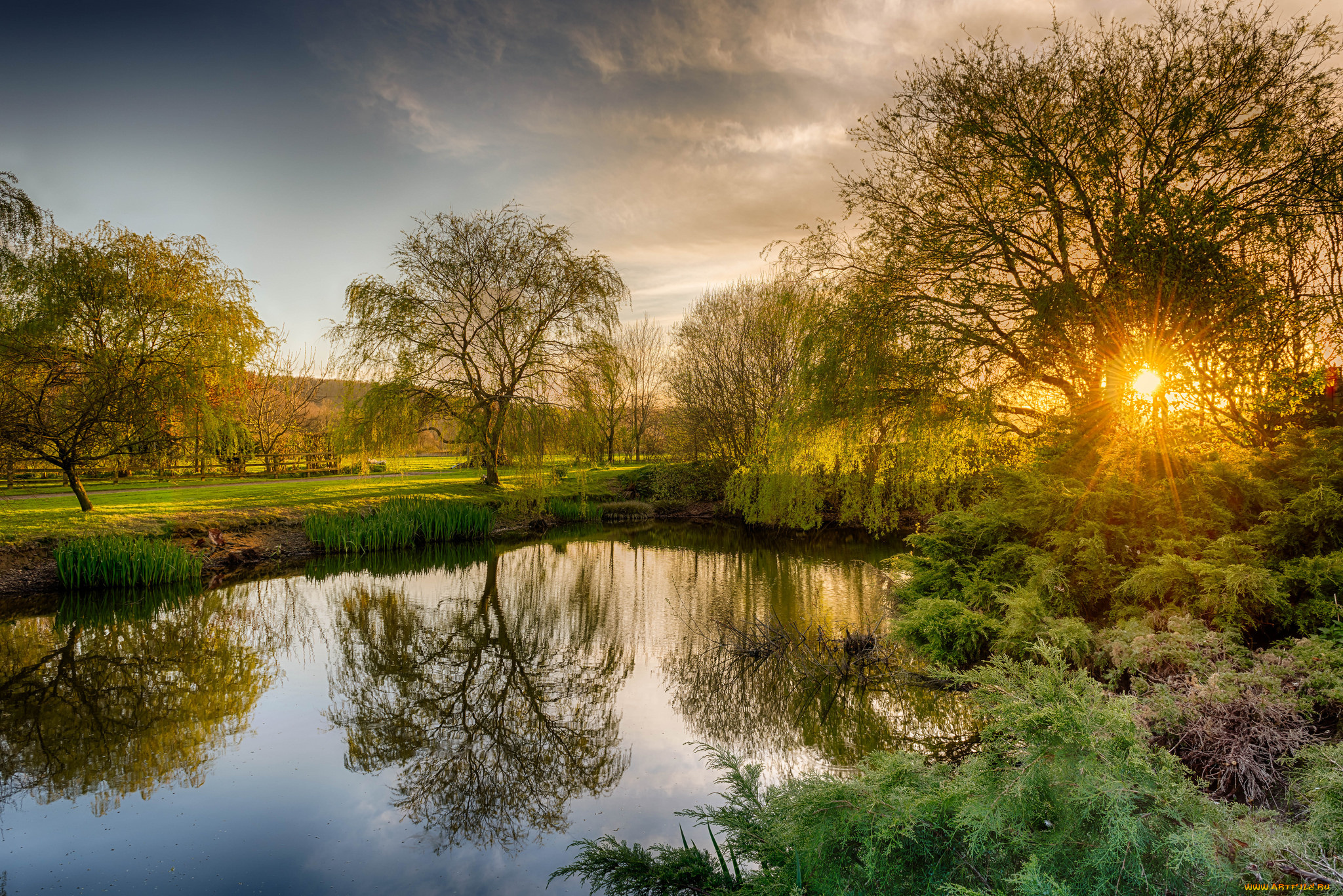 природа, реки, озера, река, лес