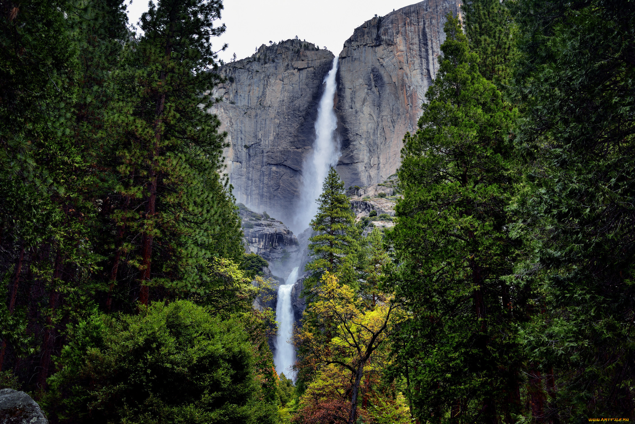 природа, водопады, река, лес, водопад