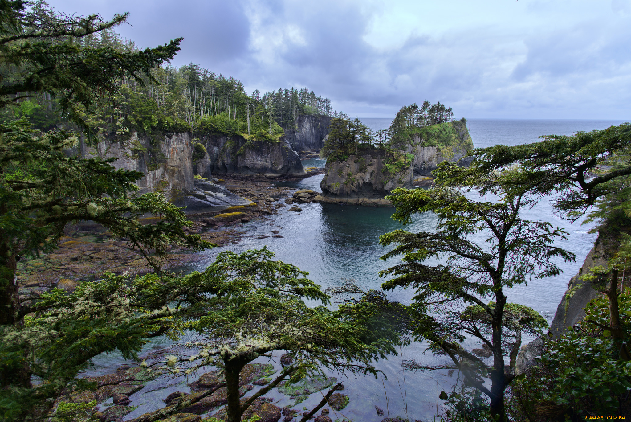 природа, побережье, берег, море