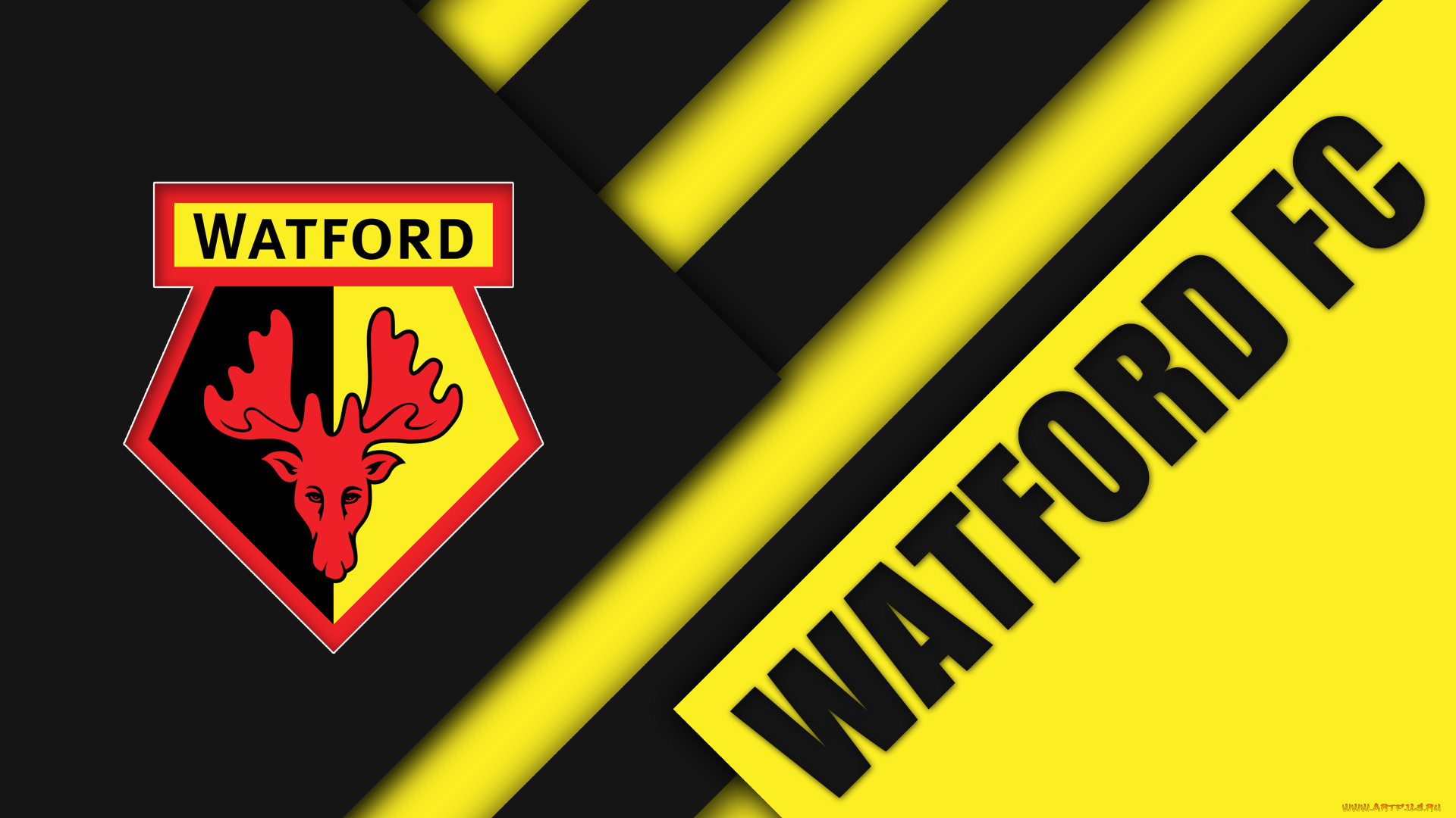 спорт, эмблемы, клубов, логотип, фон, полосы, цвет, линии