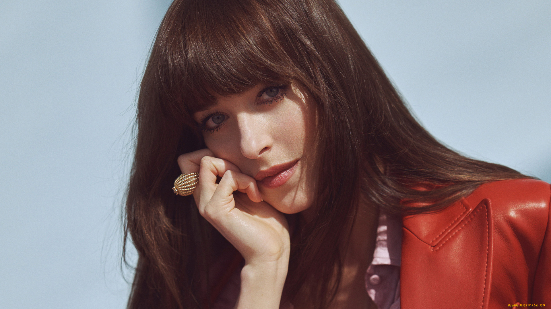 девушки, dakota, johnson, актриса, шатенка, лицо, куртка