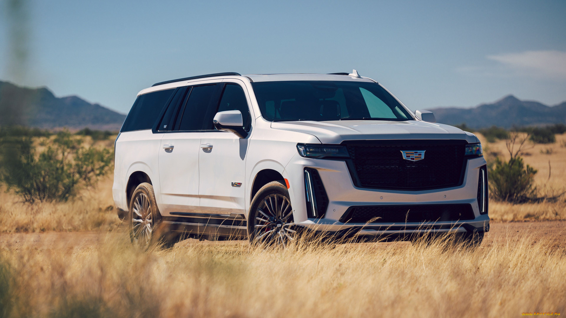 2023, cadillac, escalade, v, автомобили, cadillac, 2023, escalade, v, кадиллак, белый, джип, природа