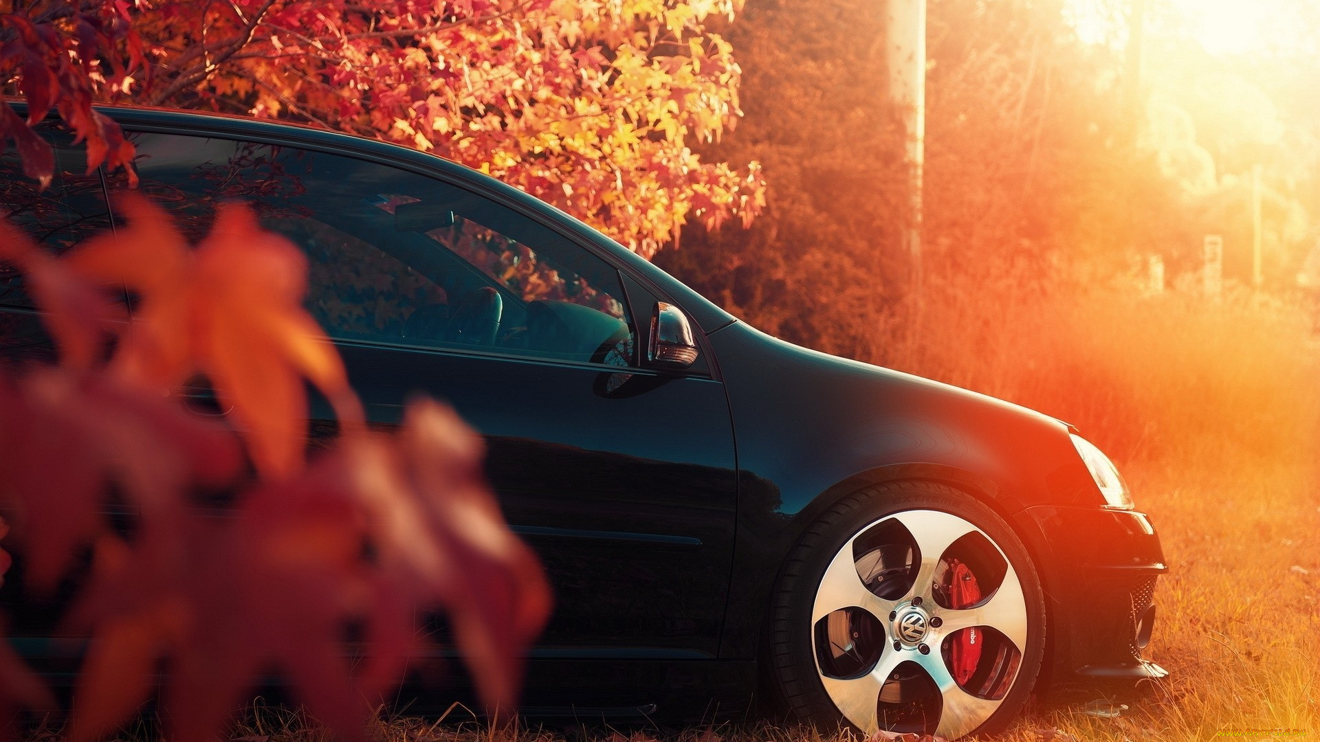 автомобили, фрагменты, автомобиля, черный, осень, деревья