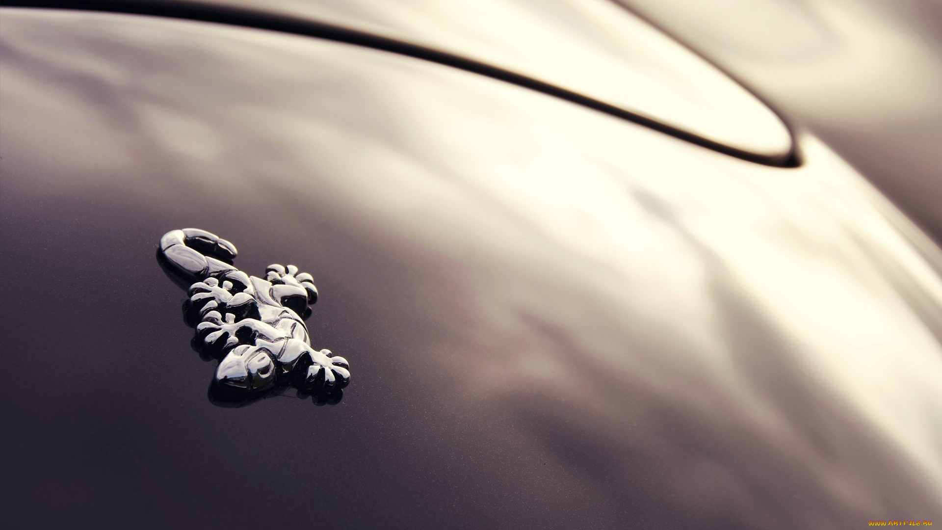 бренды, авто-мото, , -, другое, wiesmann, логотип, ящерица