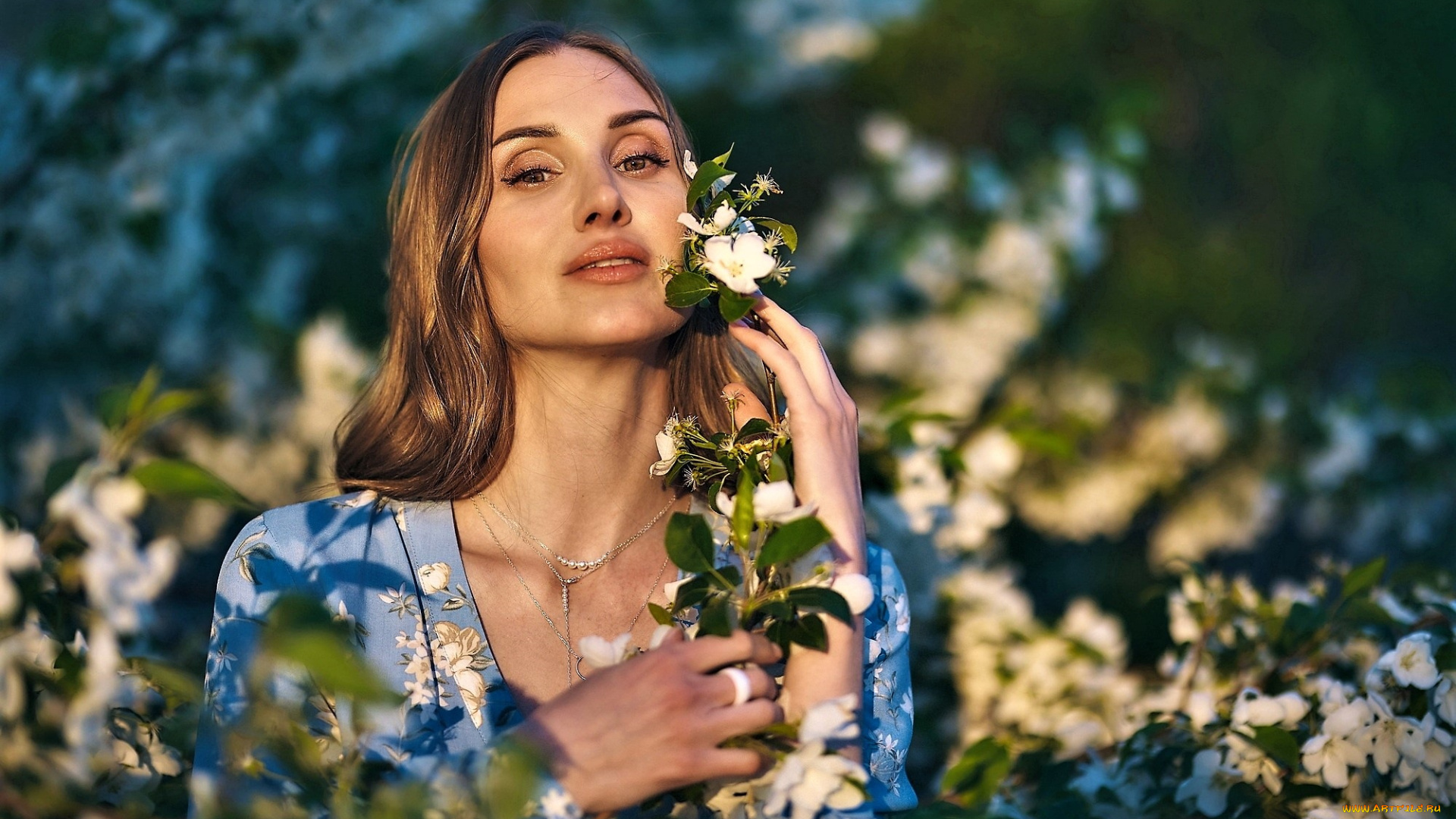 девушки, -, брюнетки, , шатенки, шатенка, цветение, ветки