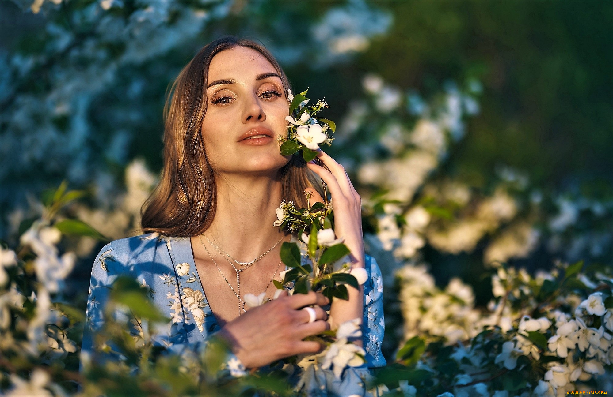 девушки, -, брюнетки, , шатенки, шатенка, цветение, ветки