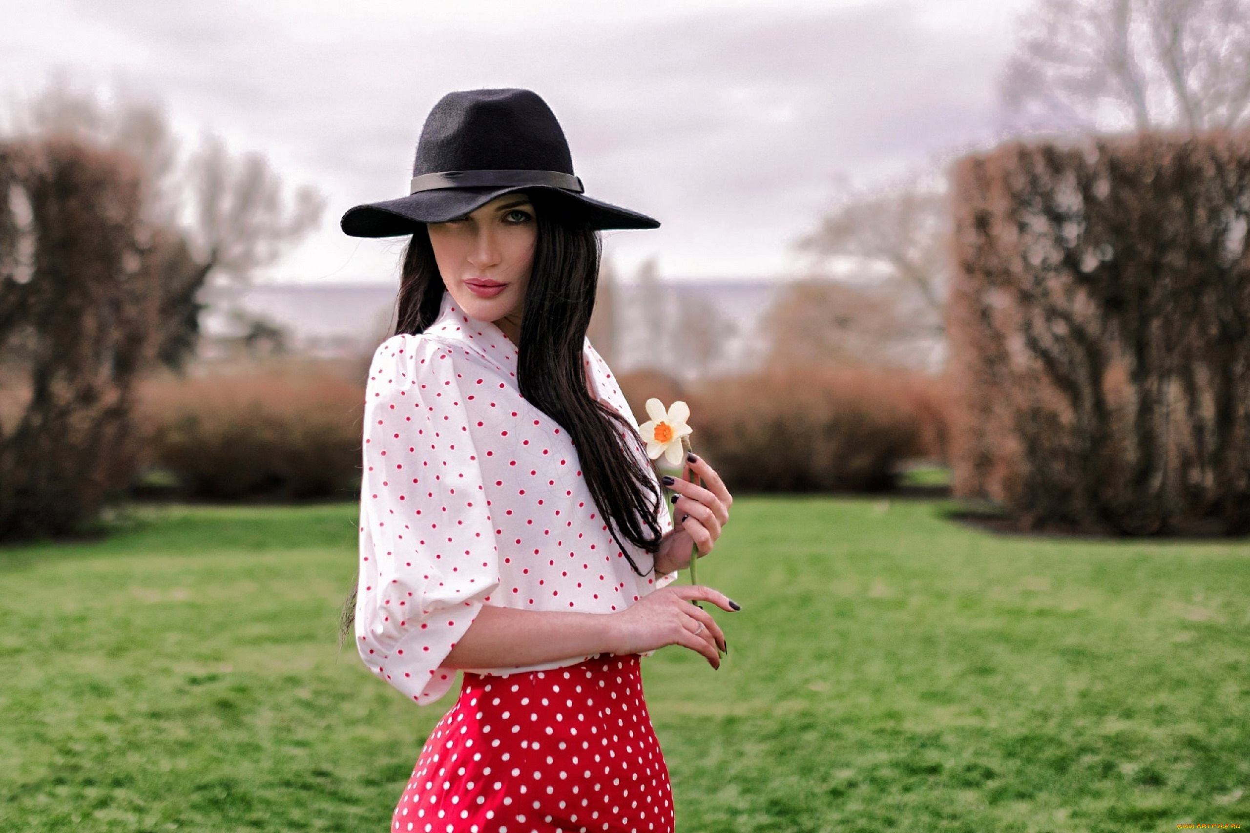 девушки, -, брюнетки, , шатенки, жгучая, брюнетка, шляпа, юбка, блузка