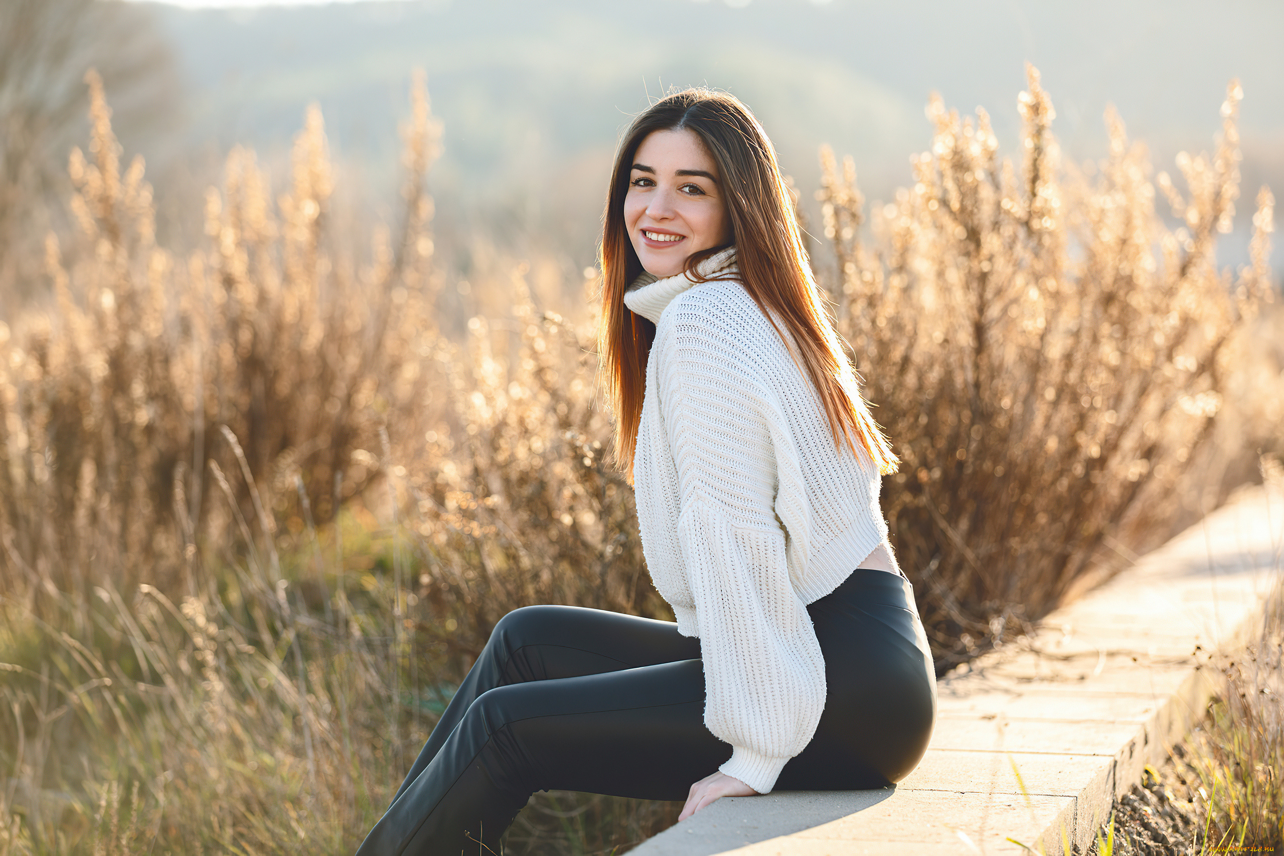 девушки, -, брюнетки, , шатенки, взгляд, на, зрителя, белый, свитер, брюнетка, длинные, волосы, природа