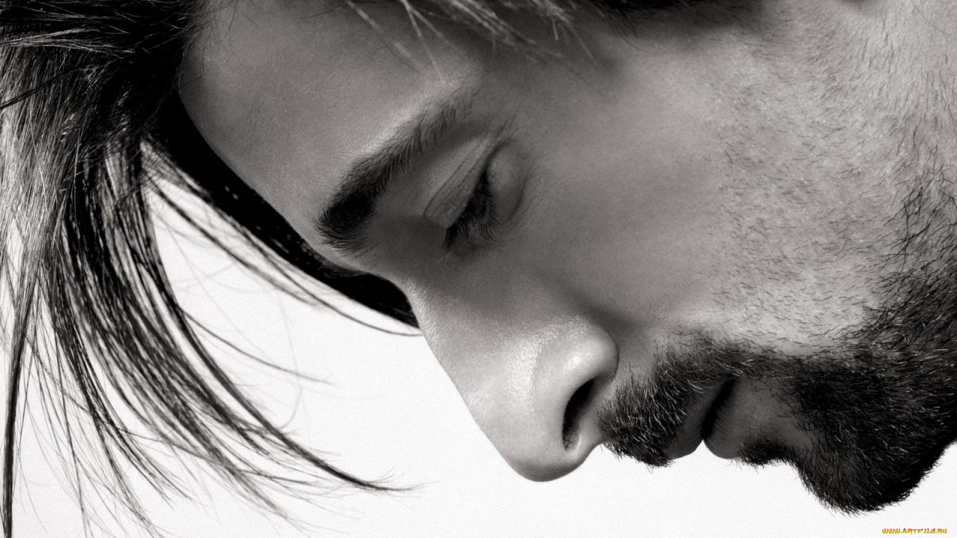 мужчины, adrien, brody, актер, лицо, профиль