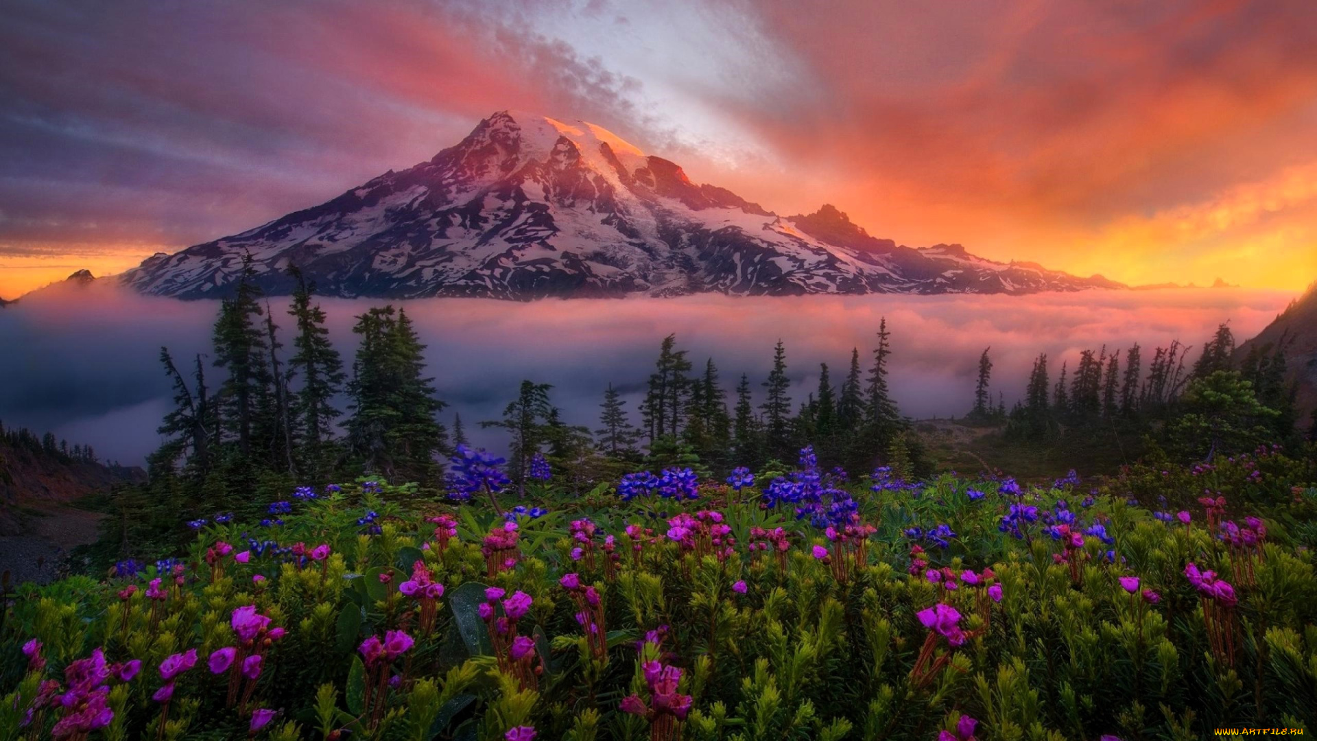 природа, горы, гора, снег, закат, облака, луга, цветы