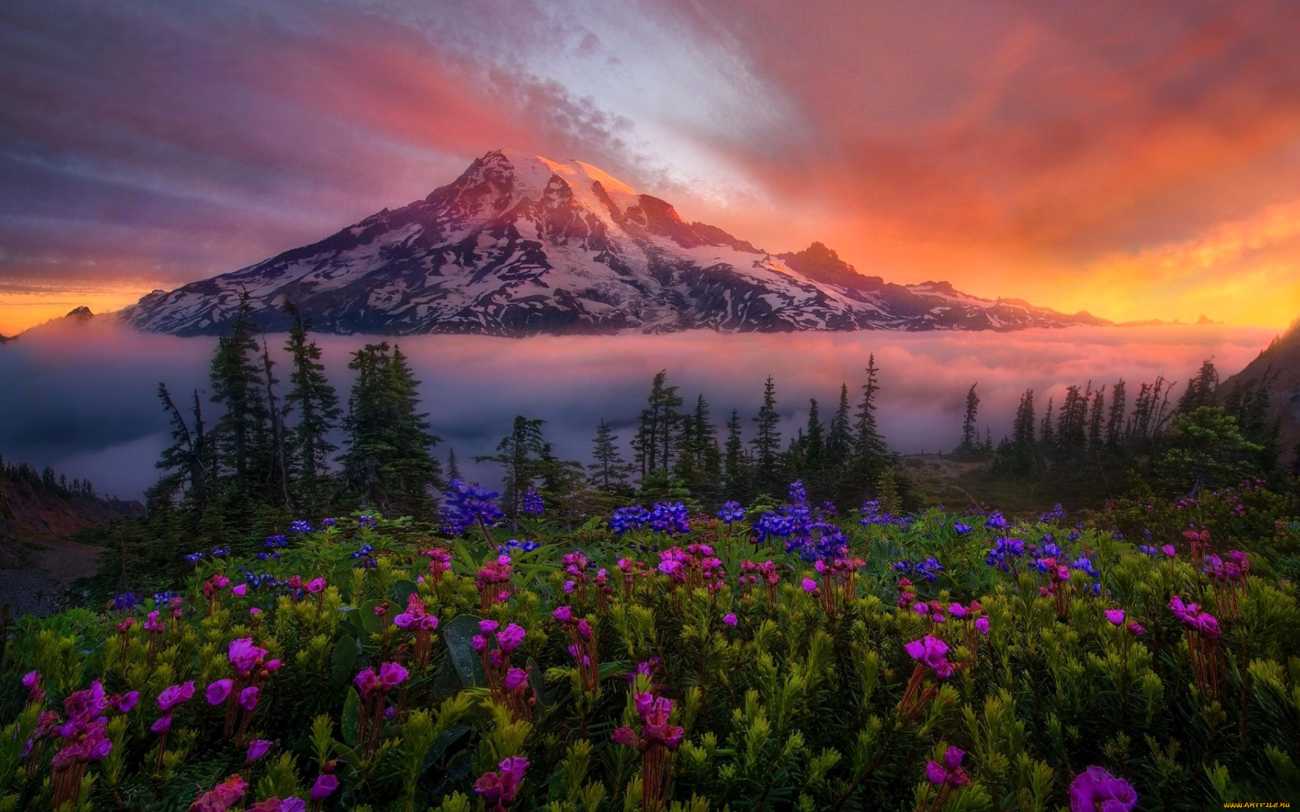 природа, горы, гора, снег, закат, облака, луга, цветы