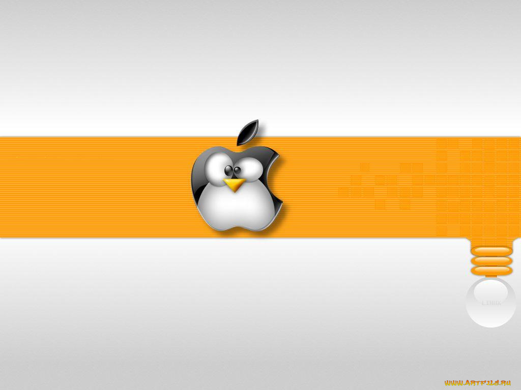 компьютеры, linux