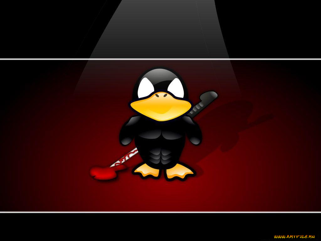 компьютеры, linux