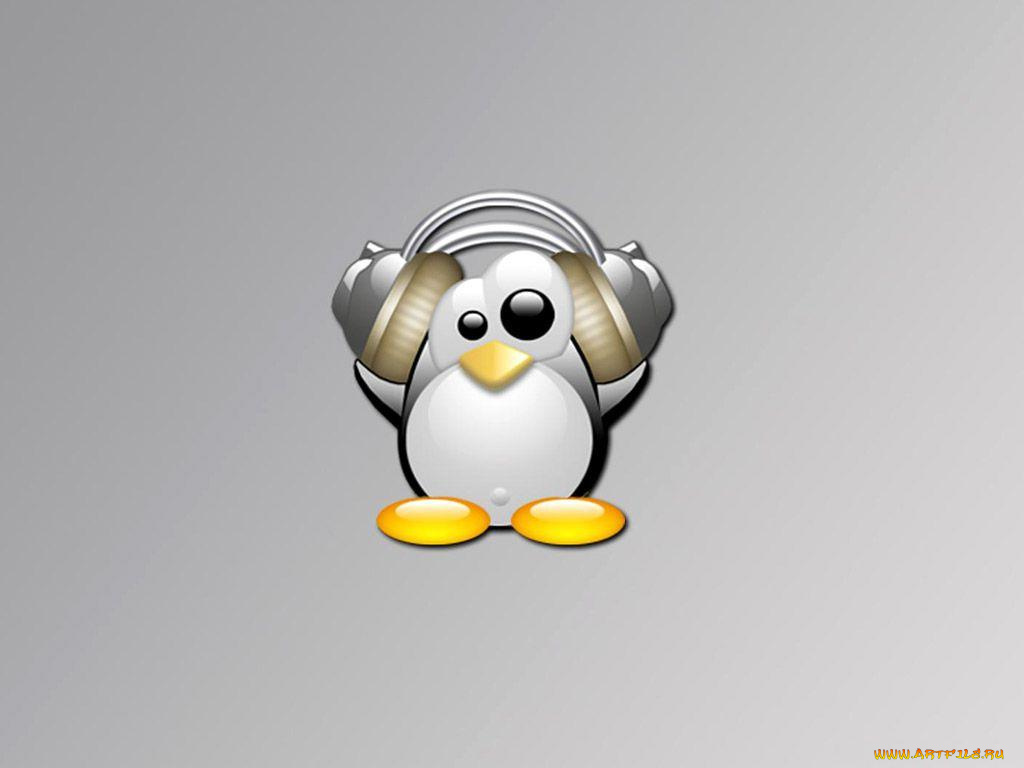 компьютеры, linux