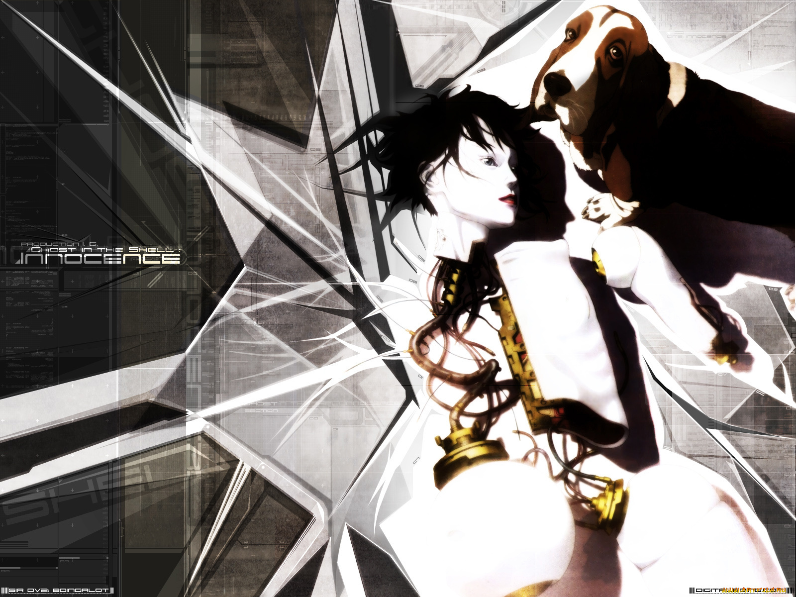 аниме, ghost, in, the, shell