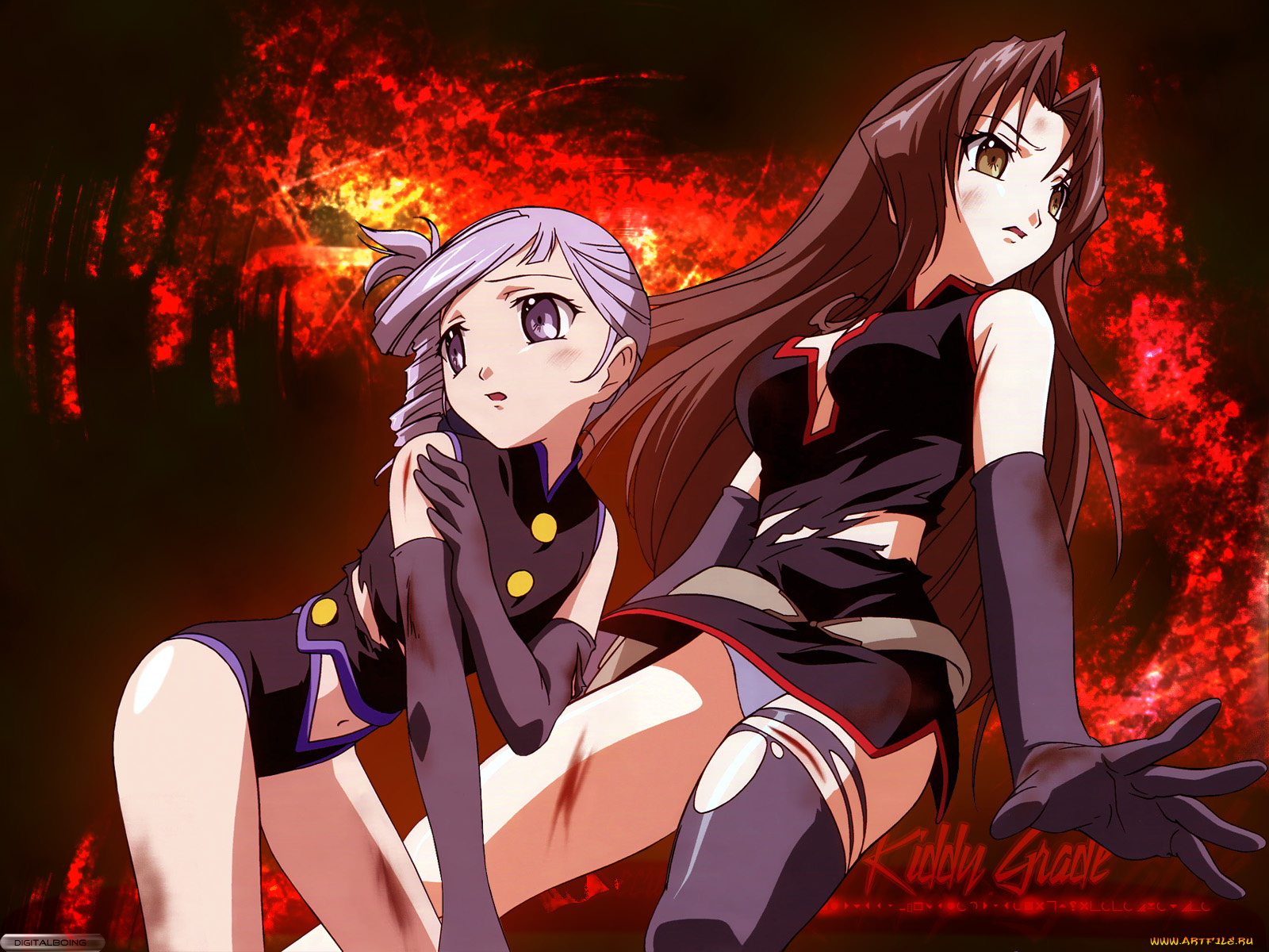 аниме, kiddy, grade