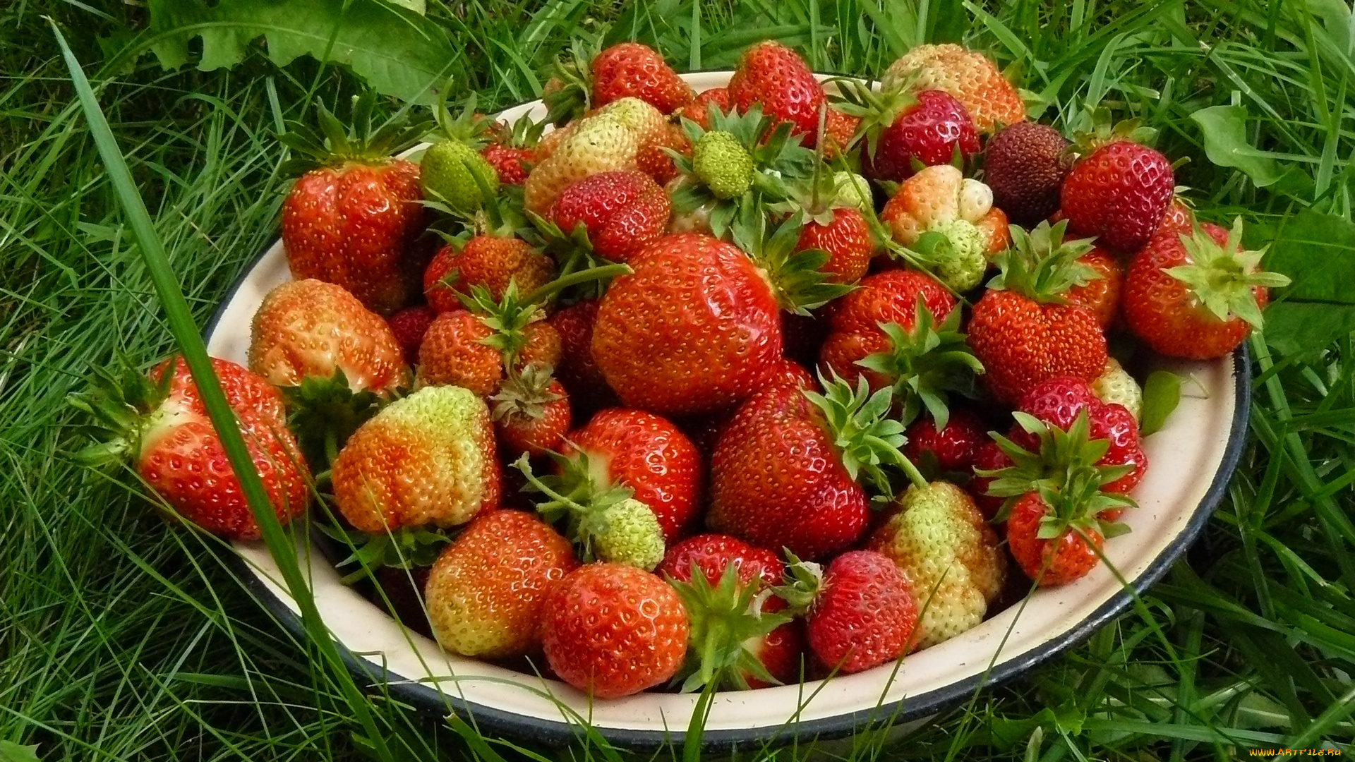 еда, клубника, земляника