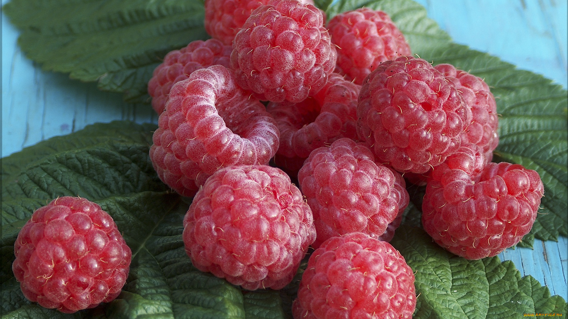 еда, малина