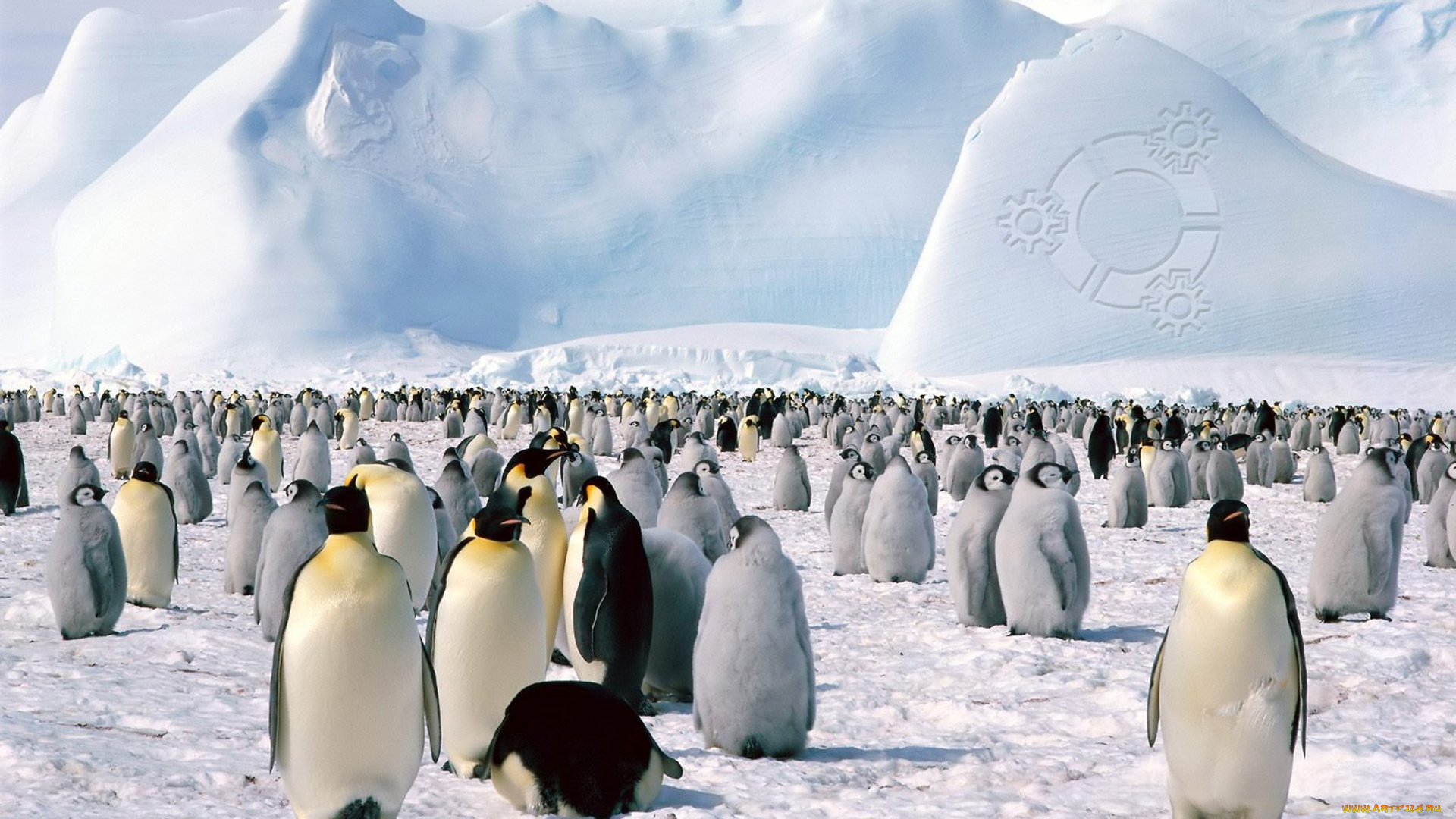 компьютеры, ubuntu, linux