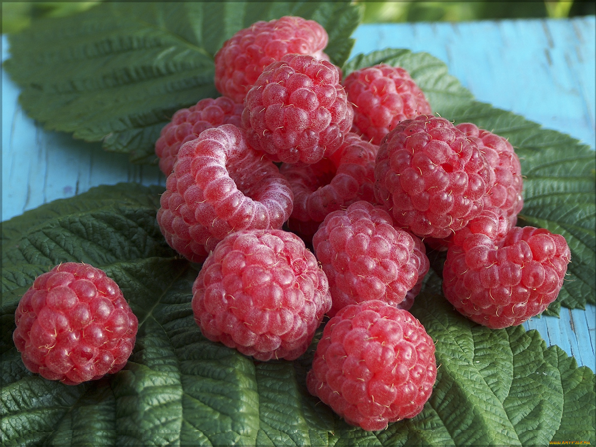 еда, малина