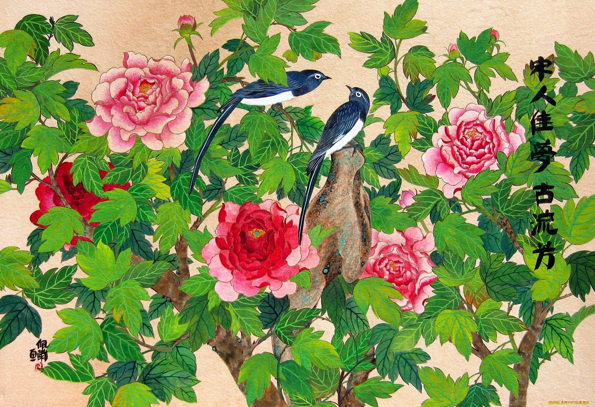 пу, лан, кокмен, рисованные, живопись, птицы, пионы