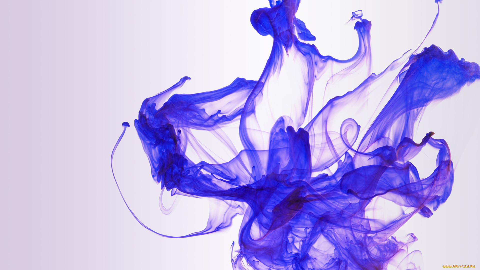 3д, графика, abstract, абстракции, фиолетовый, дым