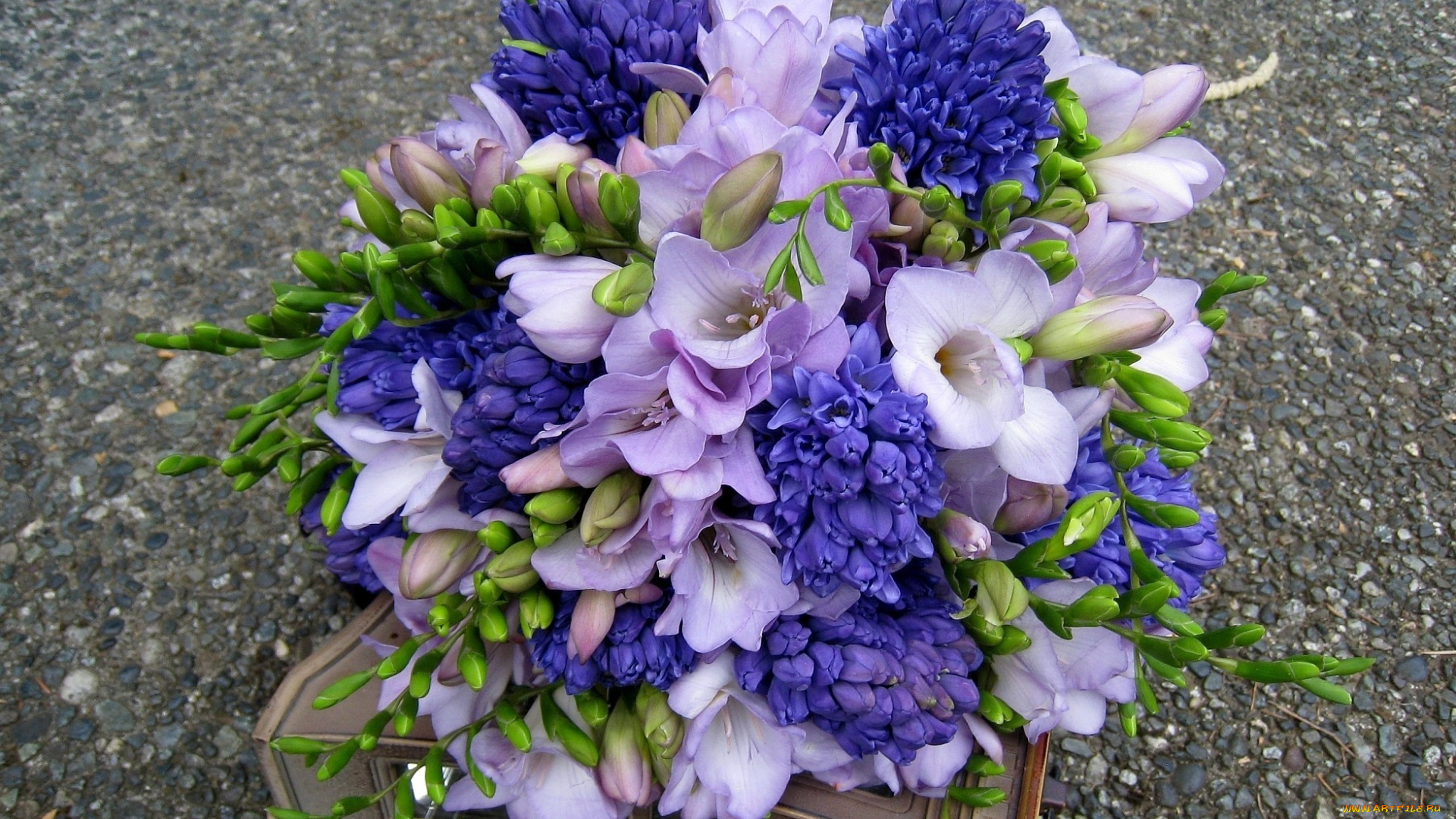 цветы, букеты, композиции, фрезия, гиацинты