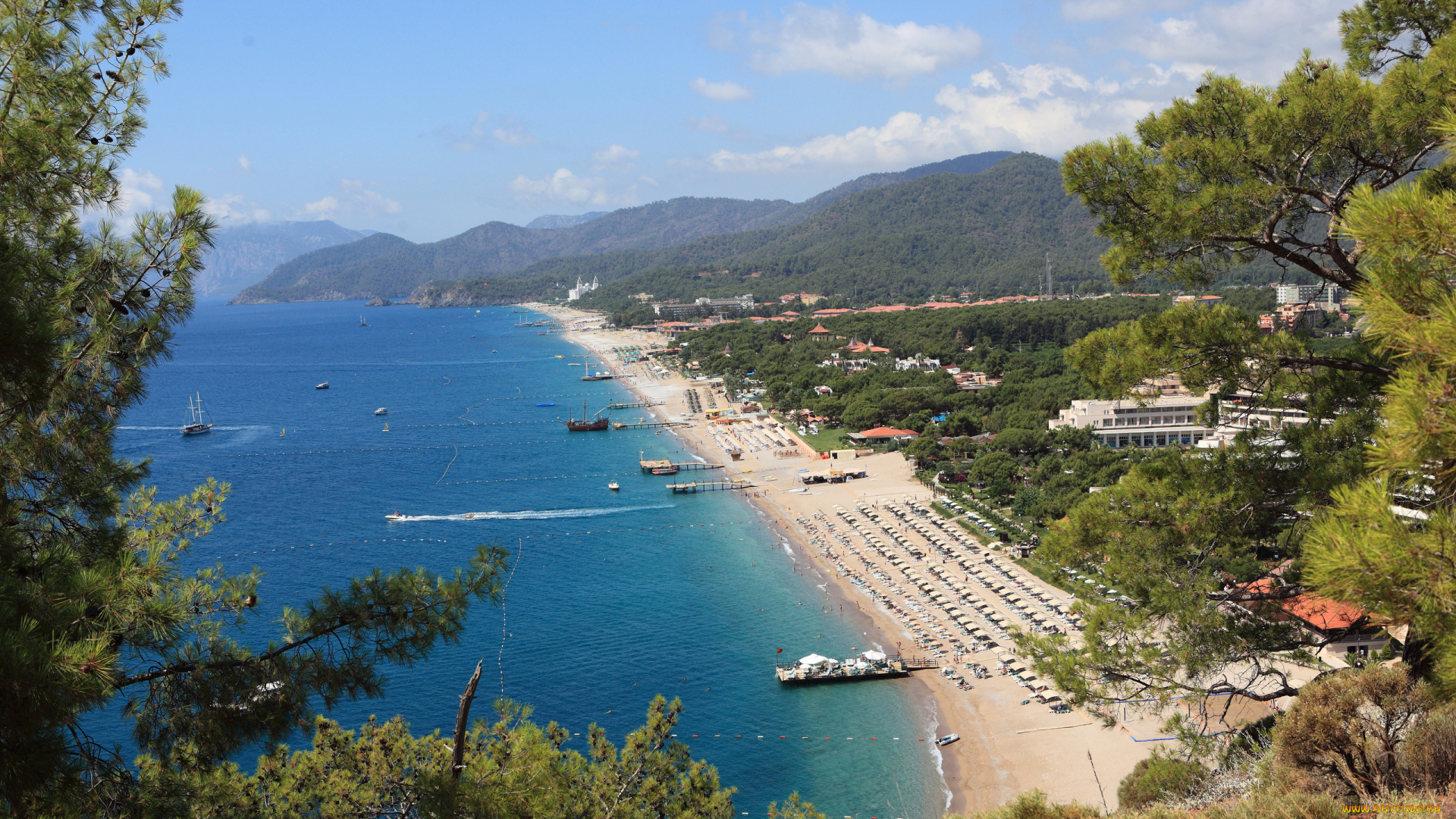 города, пейзажи, океан, пляж, деревья, дома