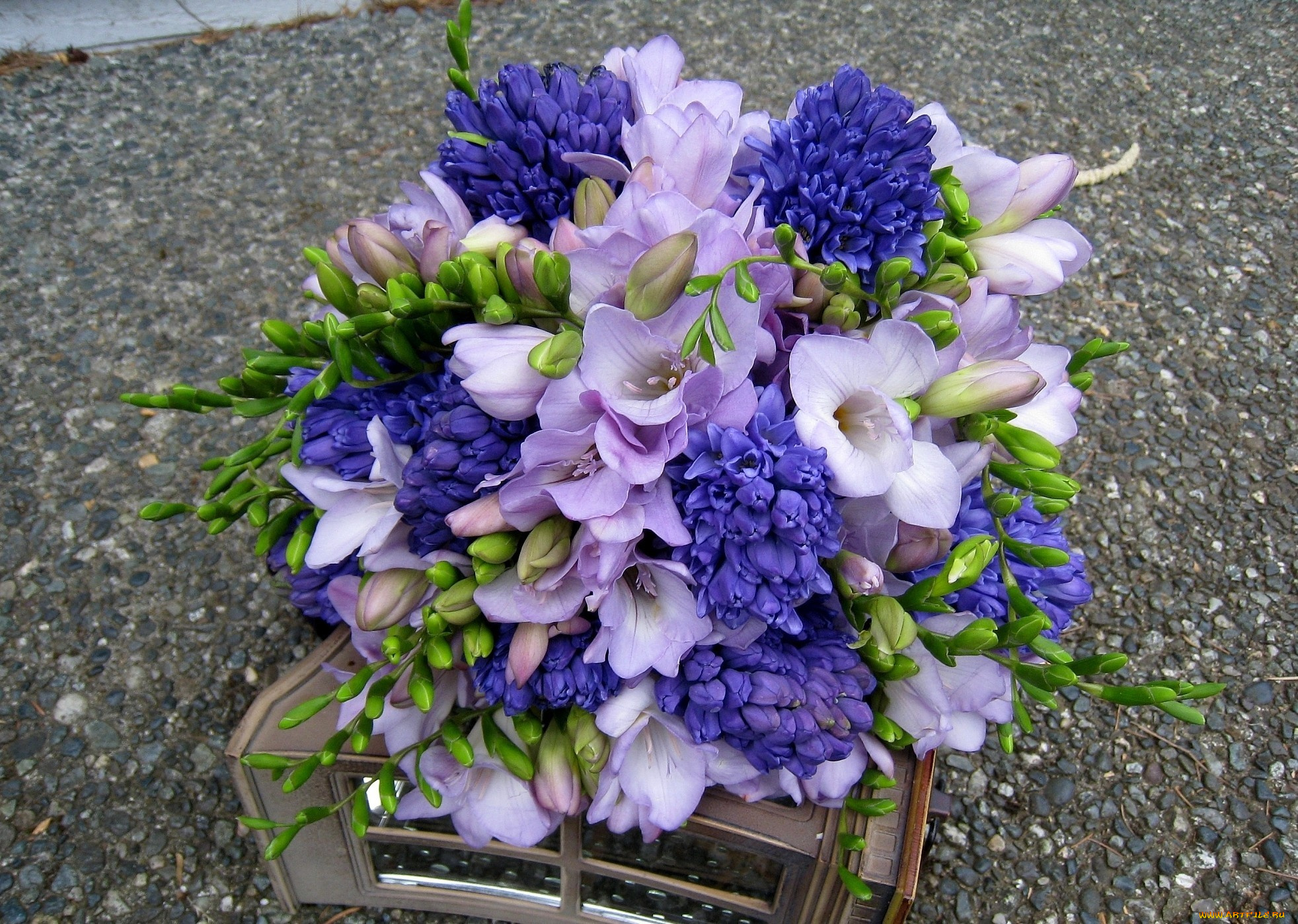 цветы, букеты, композиции, фрезия, гиацинты