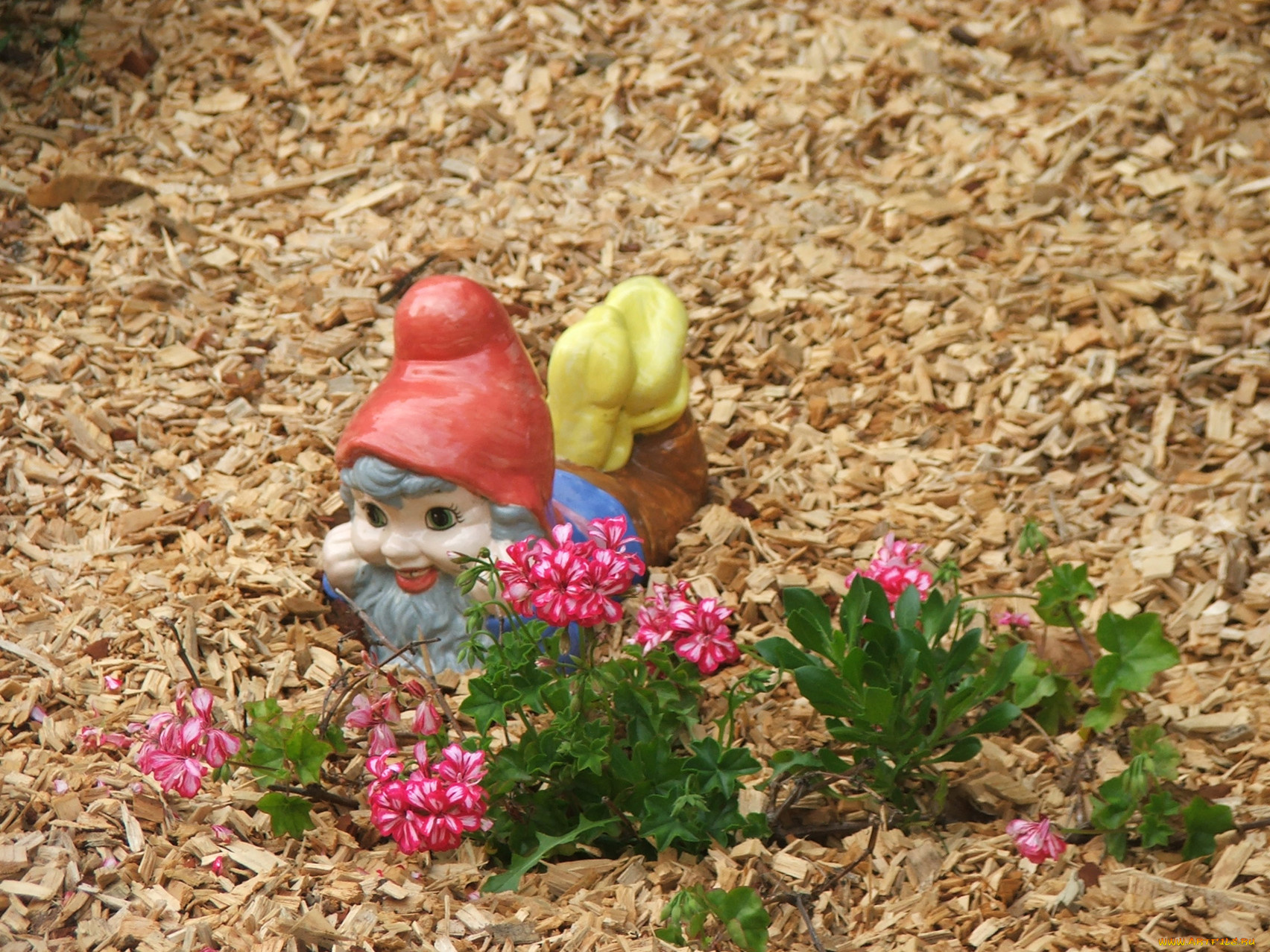 разное, рельефы, статуи, музейные, экспонаты, гномик