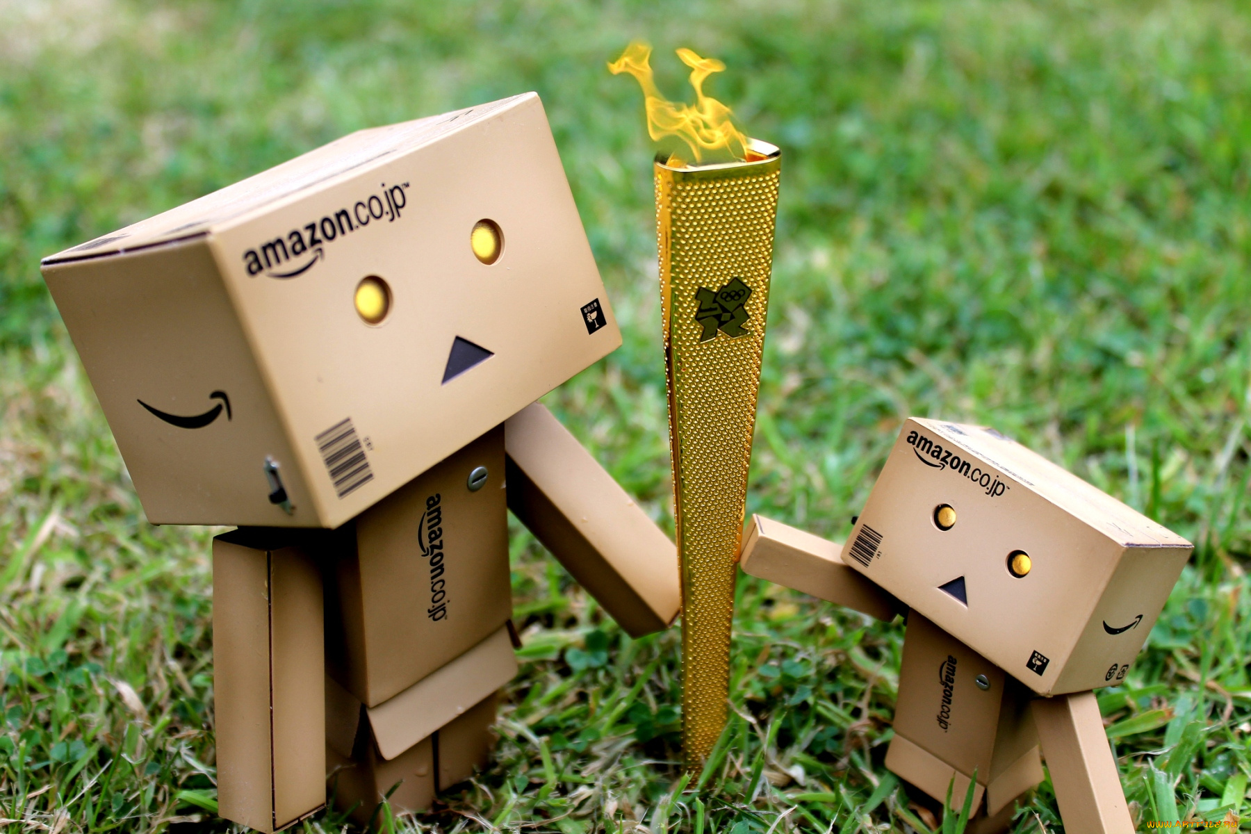 разное, данбо, danboard, олимпиада, факел, робот